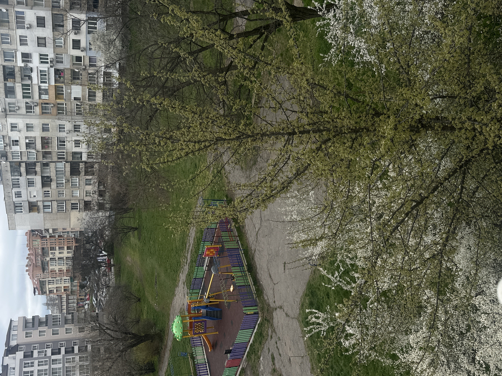 Sofia resident documents pets, overcast cityscape during afternoon