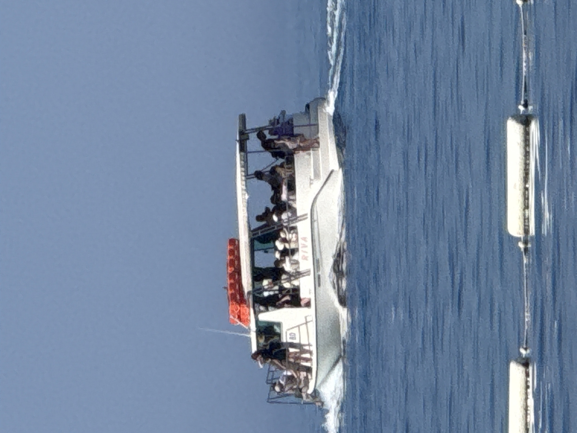 Boats, planes, and swimmers on the Montenegrin coast