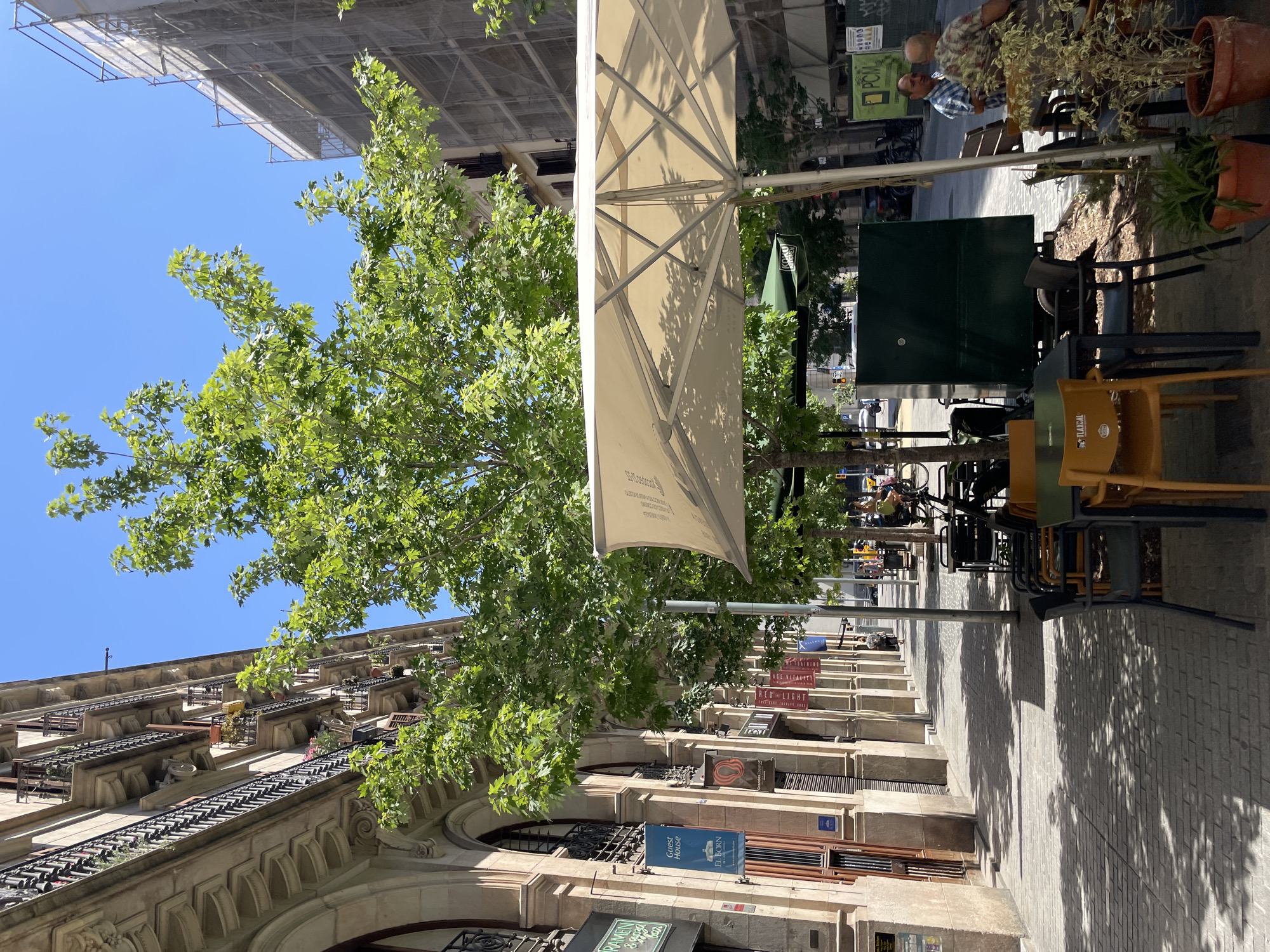 El Born neighborhood on a busy sunny afternoon in Barcelona