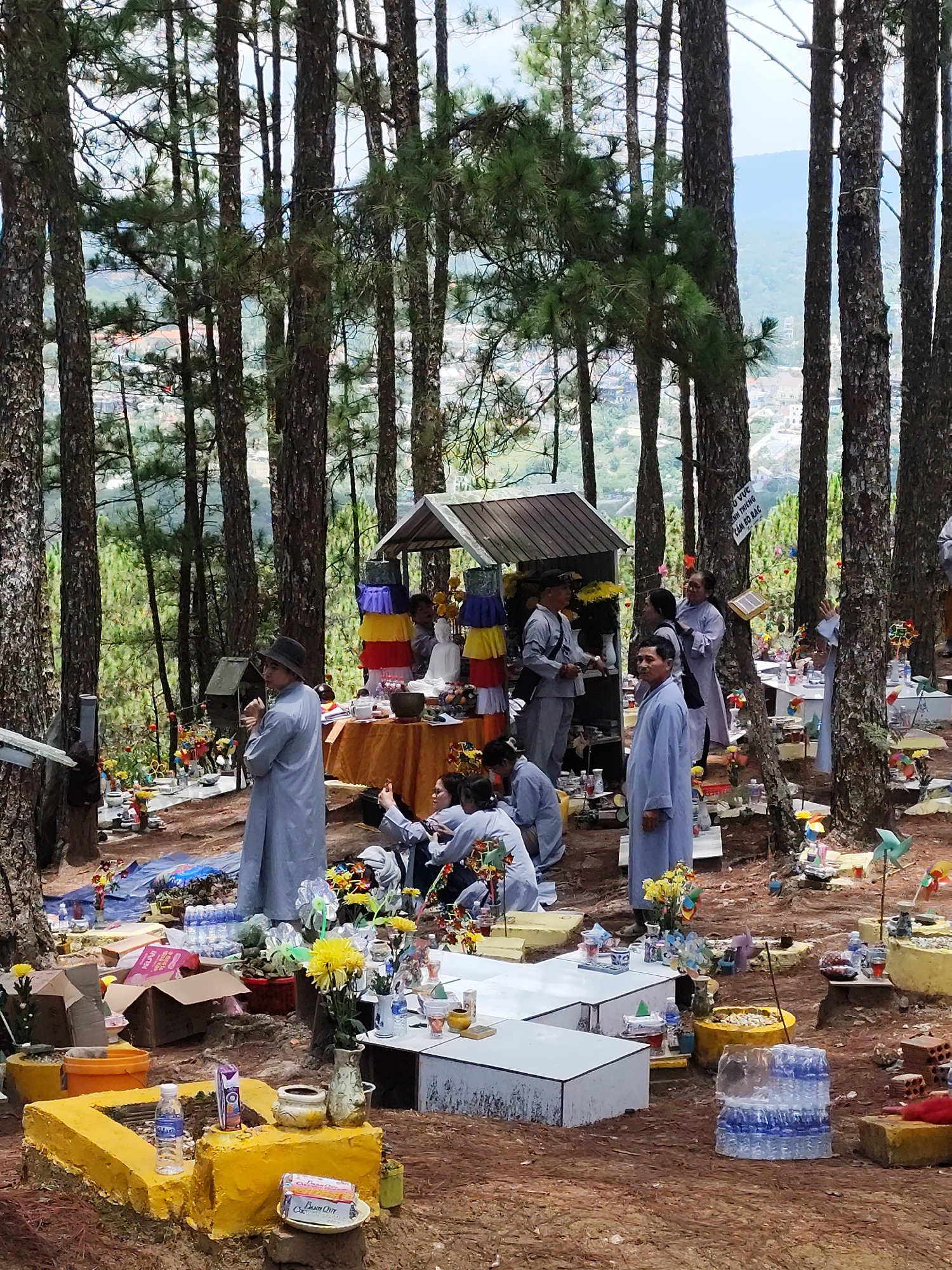 Cemetery ceremony observed in wooded Xuân Thành, Vietnam