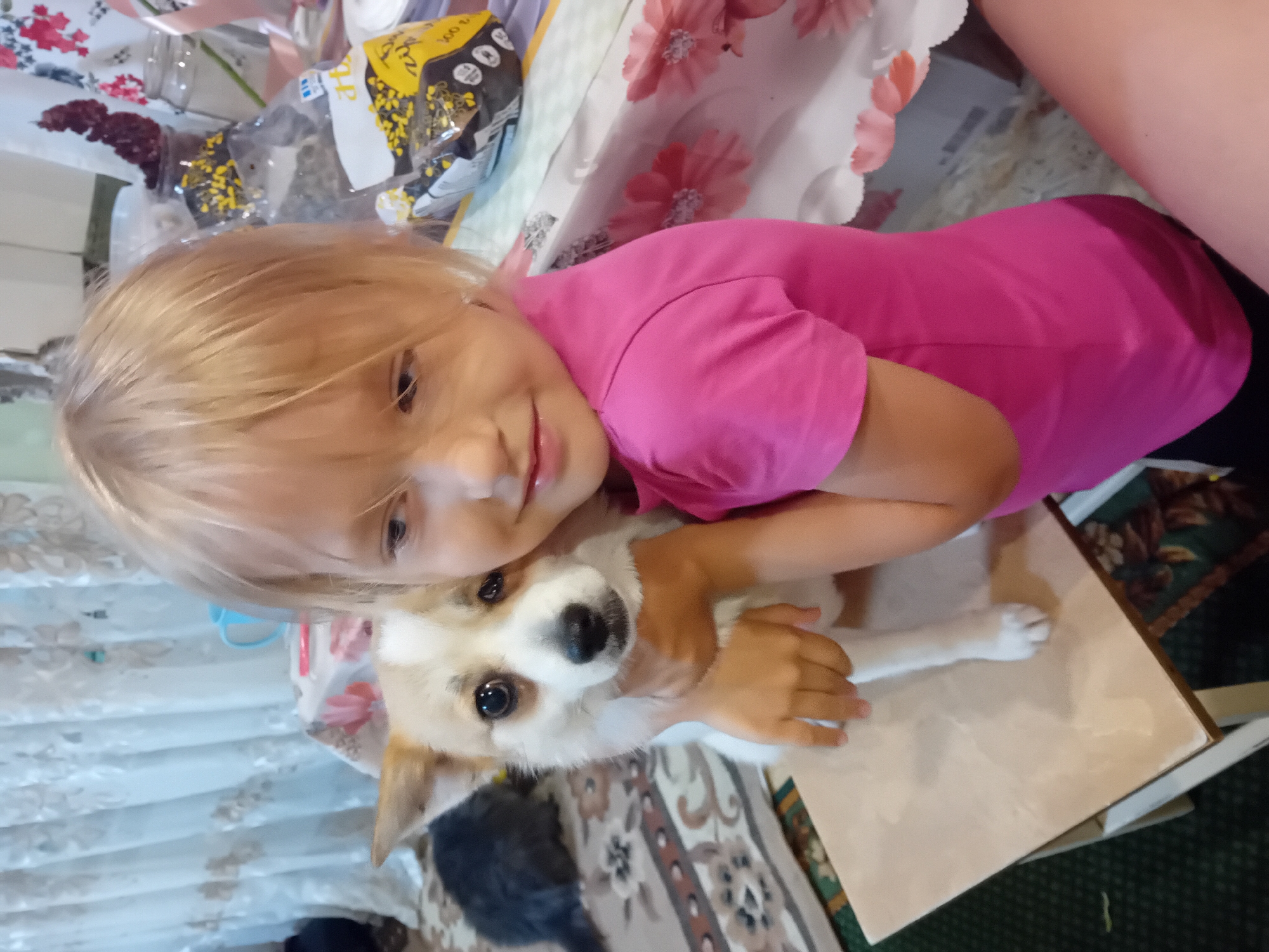 Lazy afternoon with pets inside a Chuhuiv home