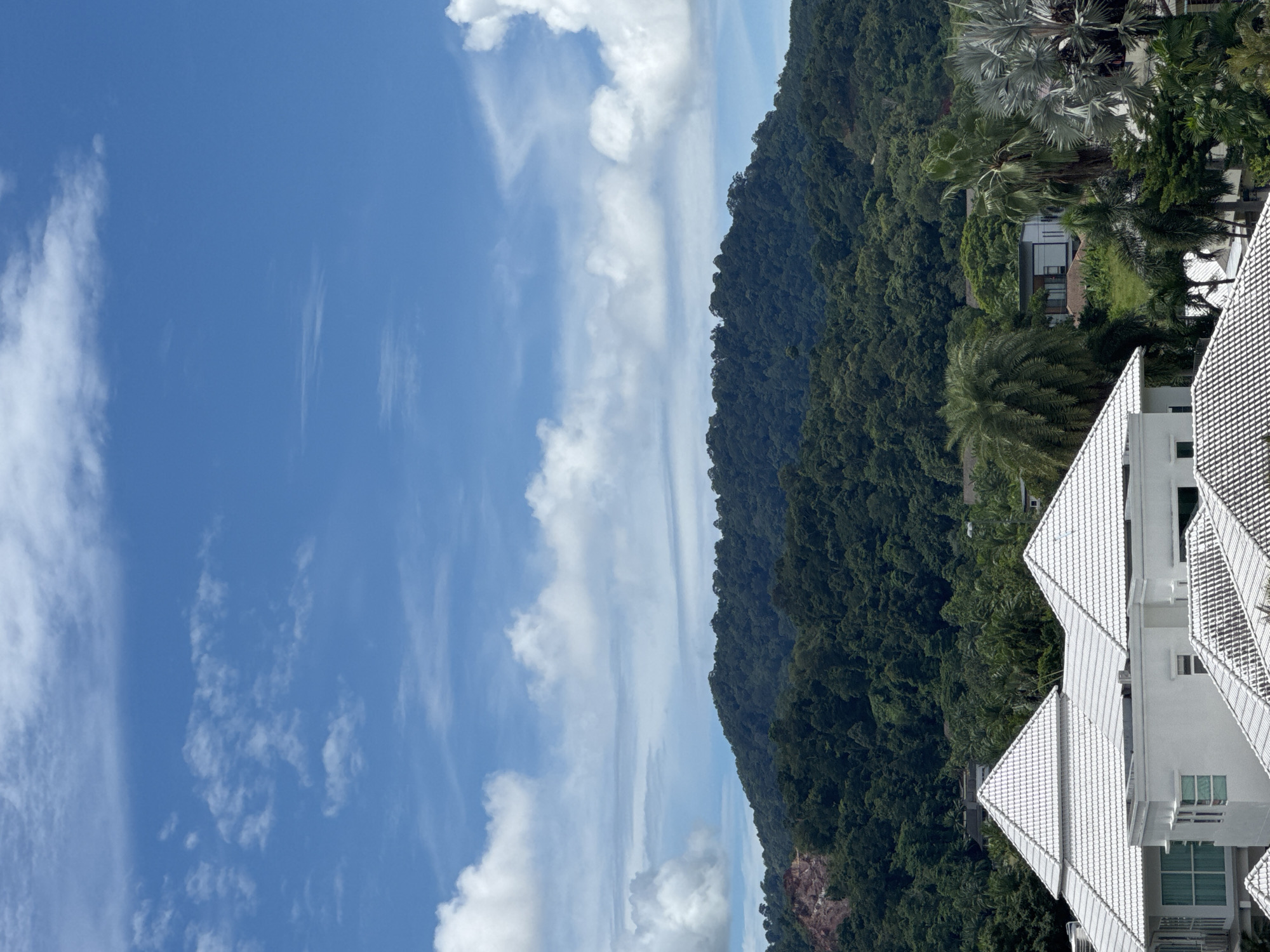 Quiet Kathu hillside neighborhood, jungle-backed rooftops and infrastructure
