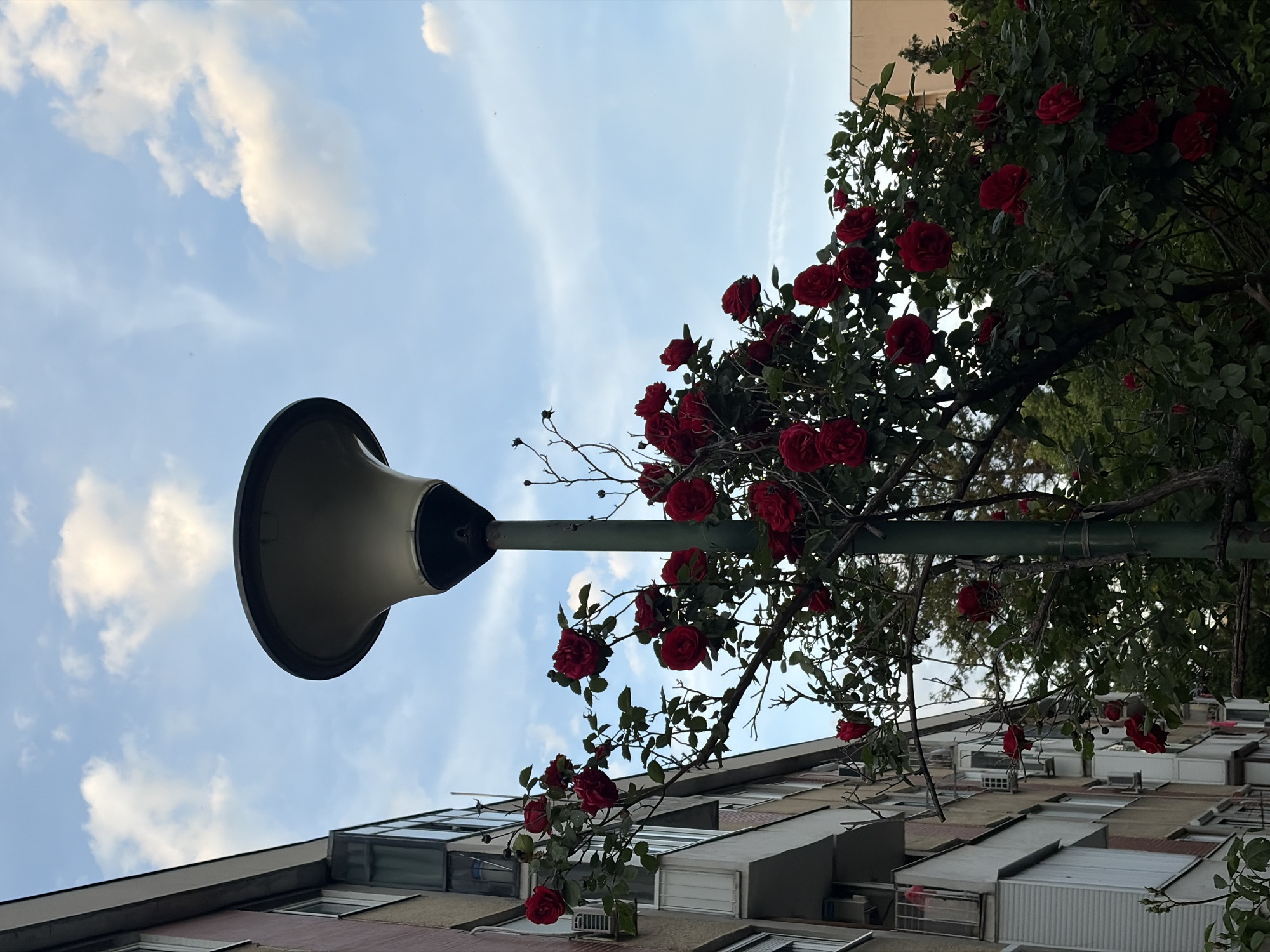 Evening scenes documented in Belgrade's Vozdovac district