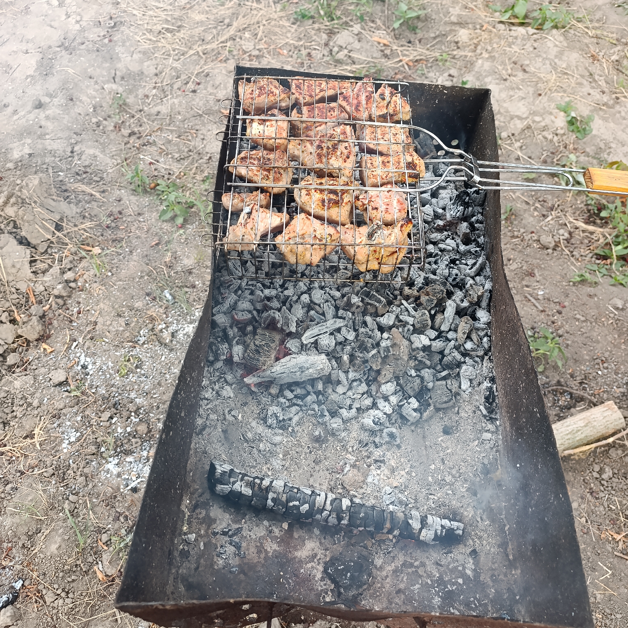Casual outdoor cookout and gathering in Ladyzhyn, Ukraine
