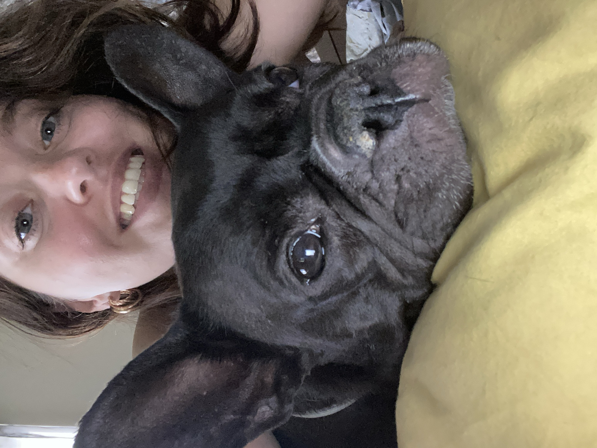 French Bulldog steals the selfie in Batumi