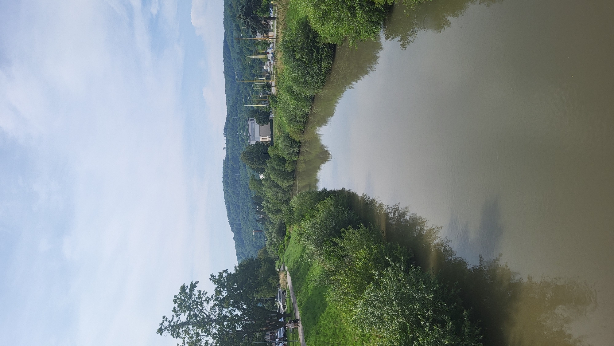 River, nest, and wildflowers along a Prešov nature path