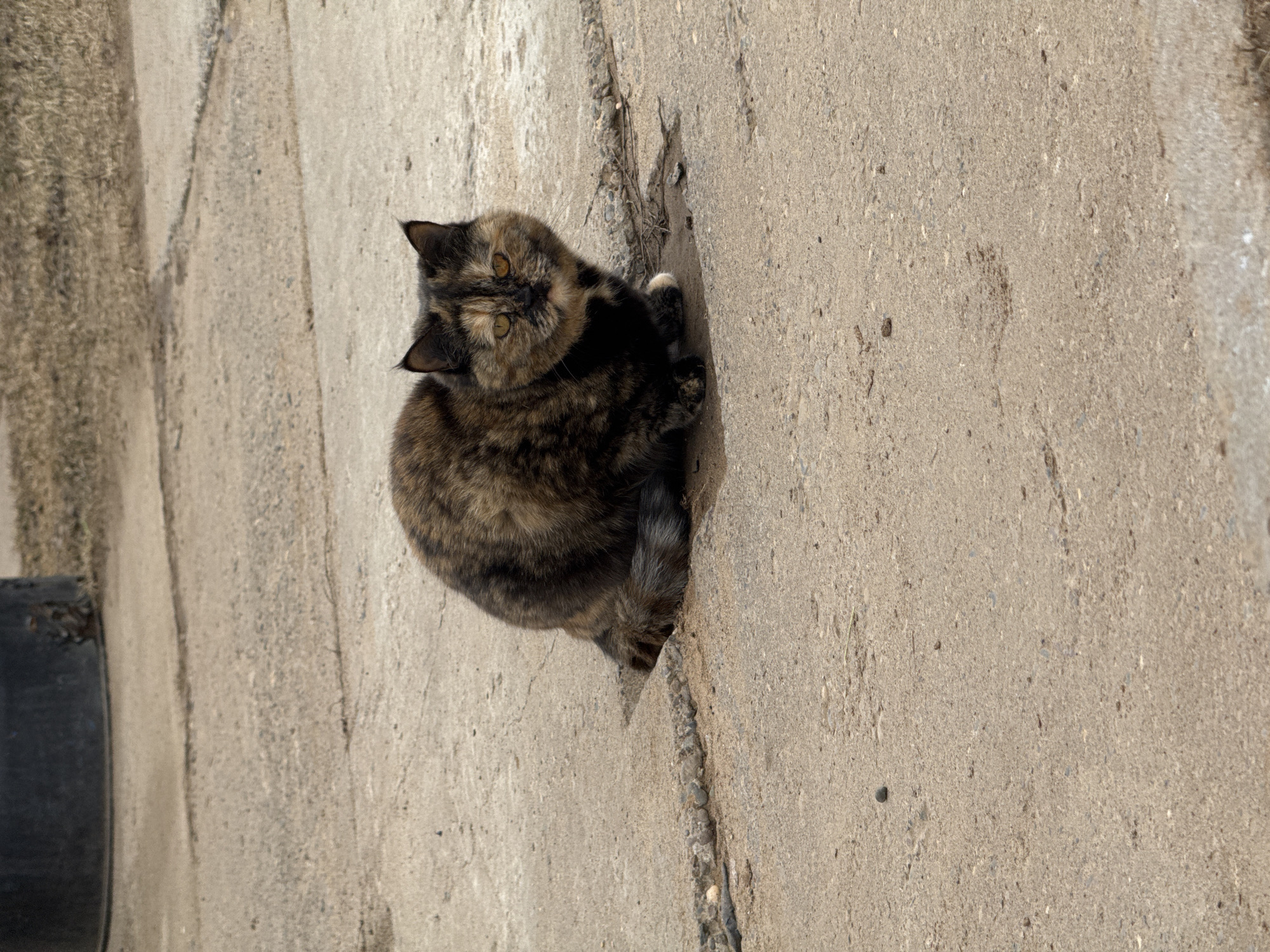 Rural life moments captured in Dubovaya, Russia