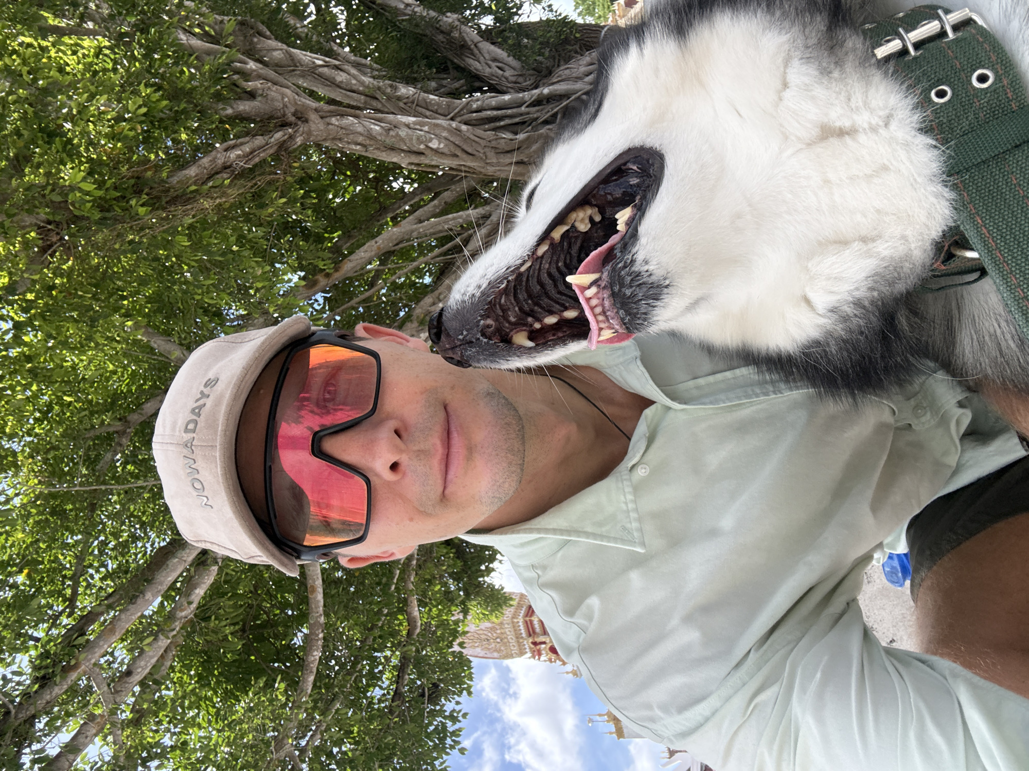 Exploring Wat Chalong with a husky in tow