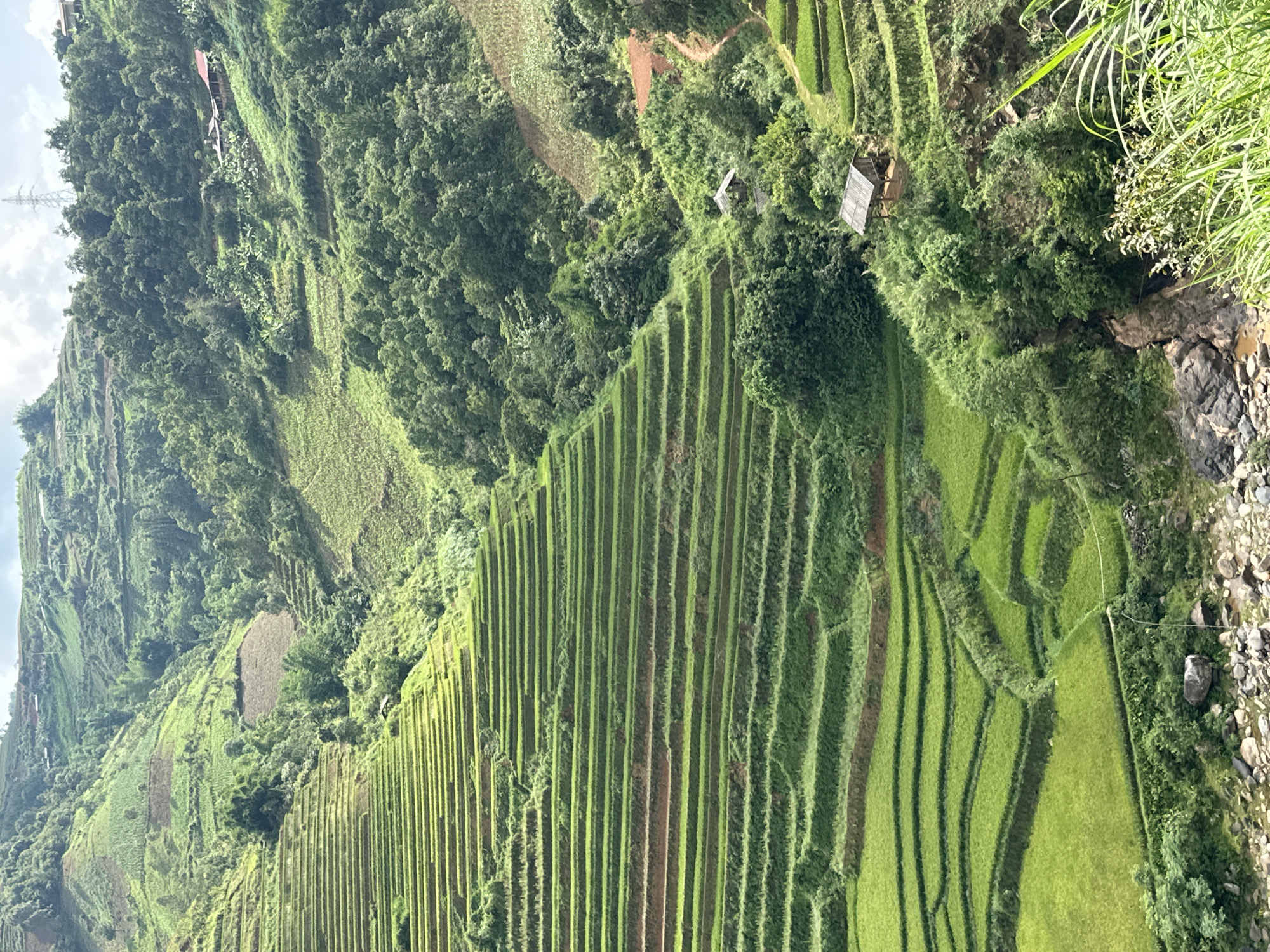Tourist documents Vietnam's famous terraced rice fields during morning visit