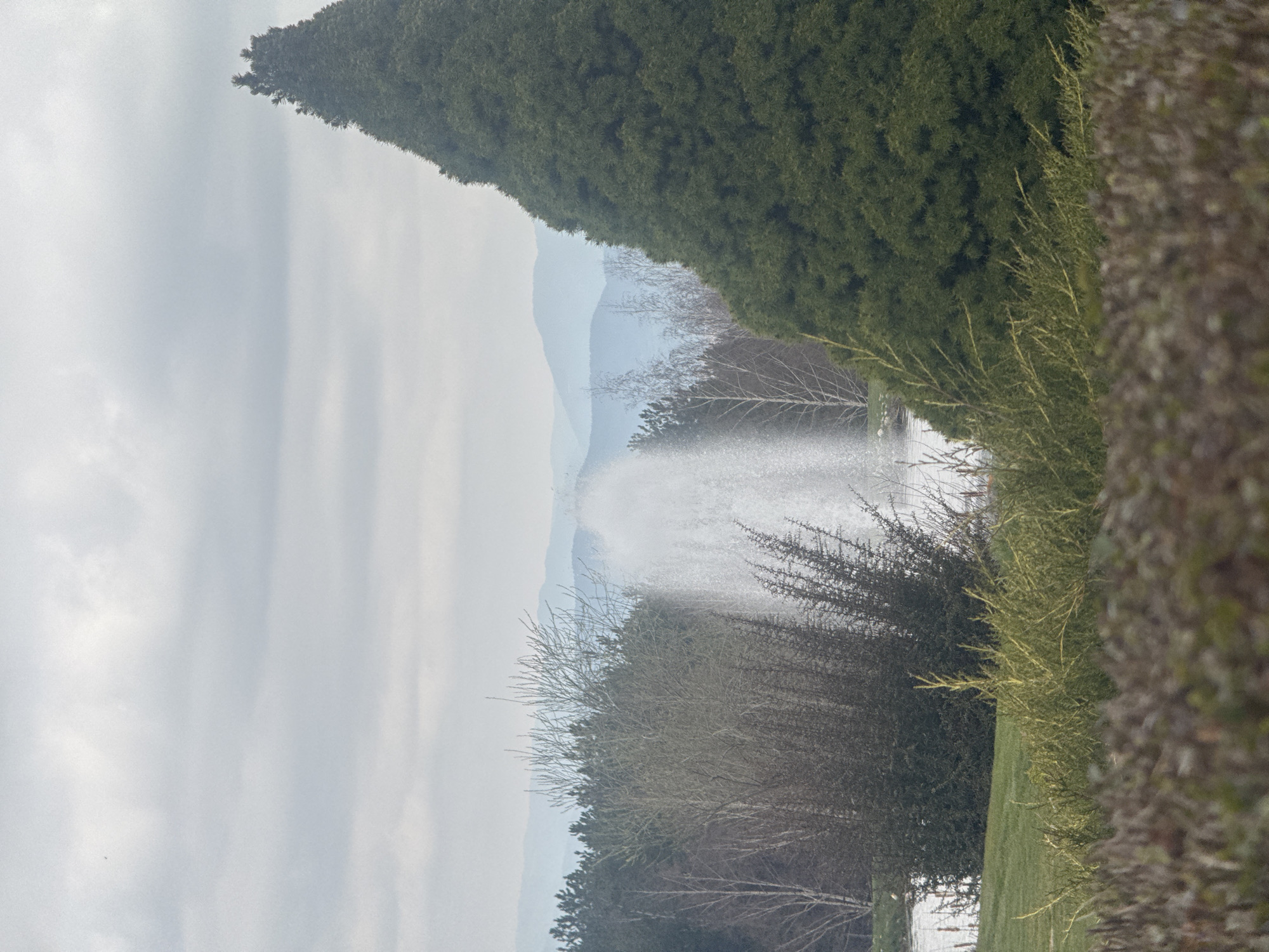 Morning documentation of fountain pond in Razlog, Bulgaria