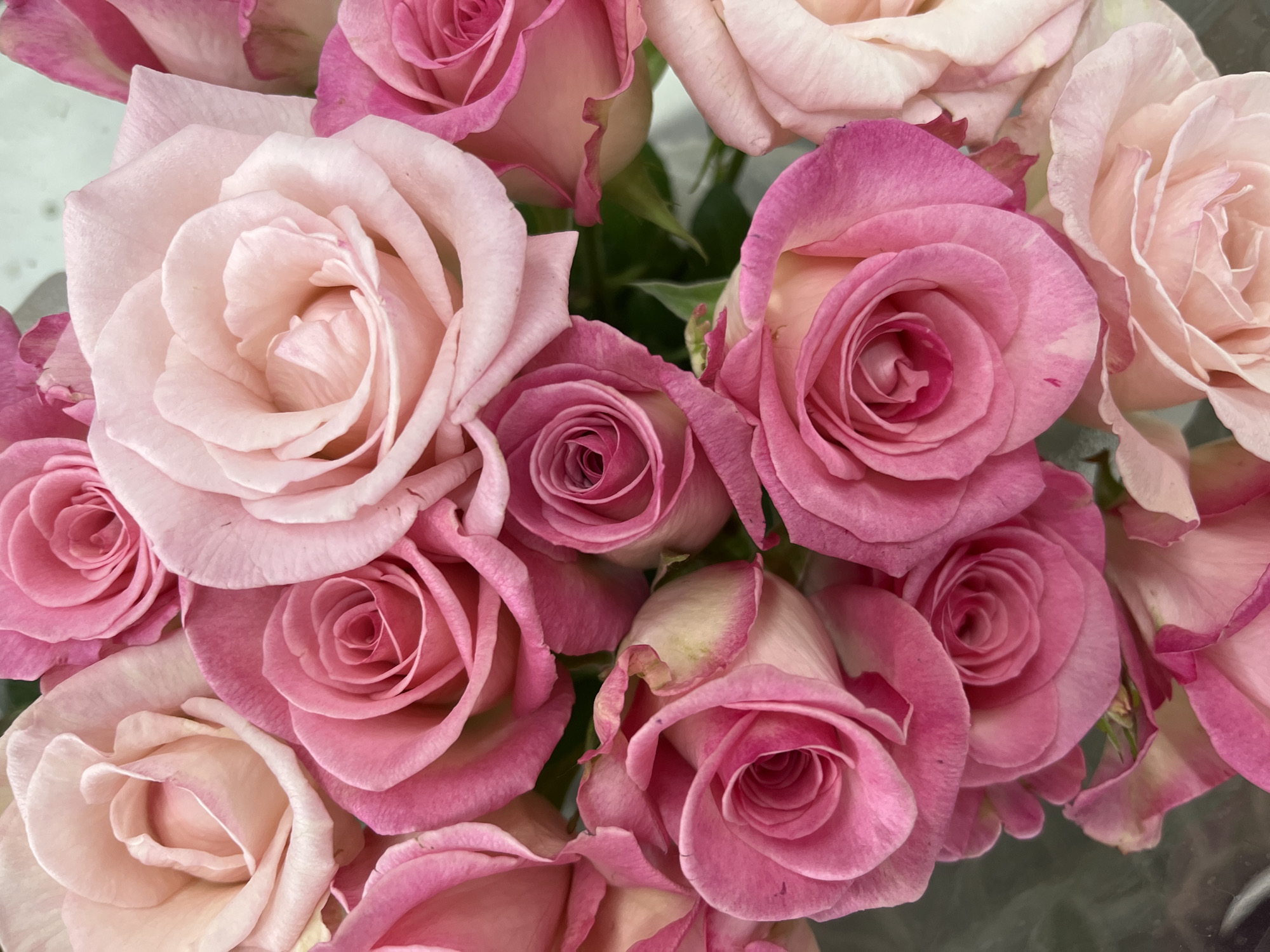 Witness documents diverse flower bouquets in detailed photography session