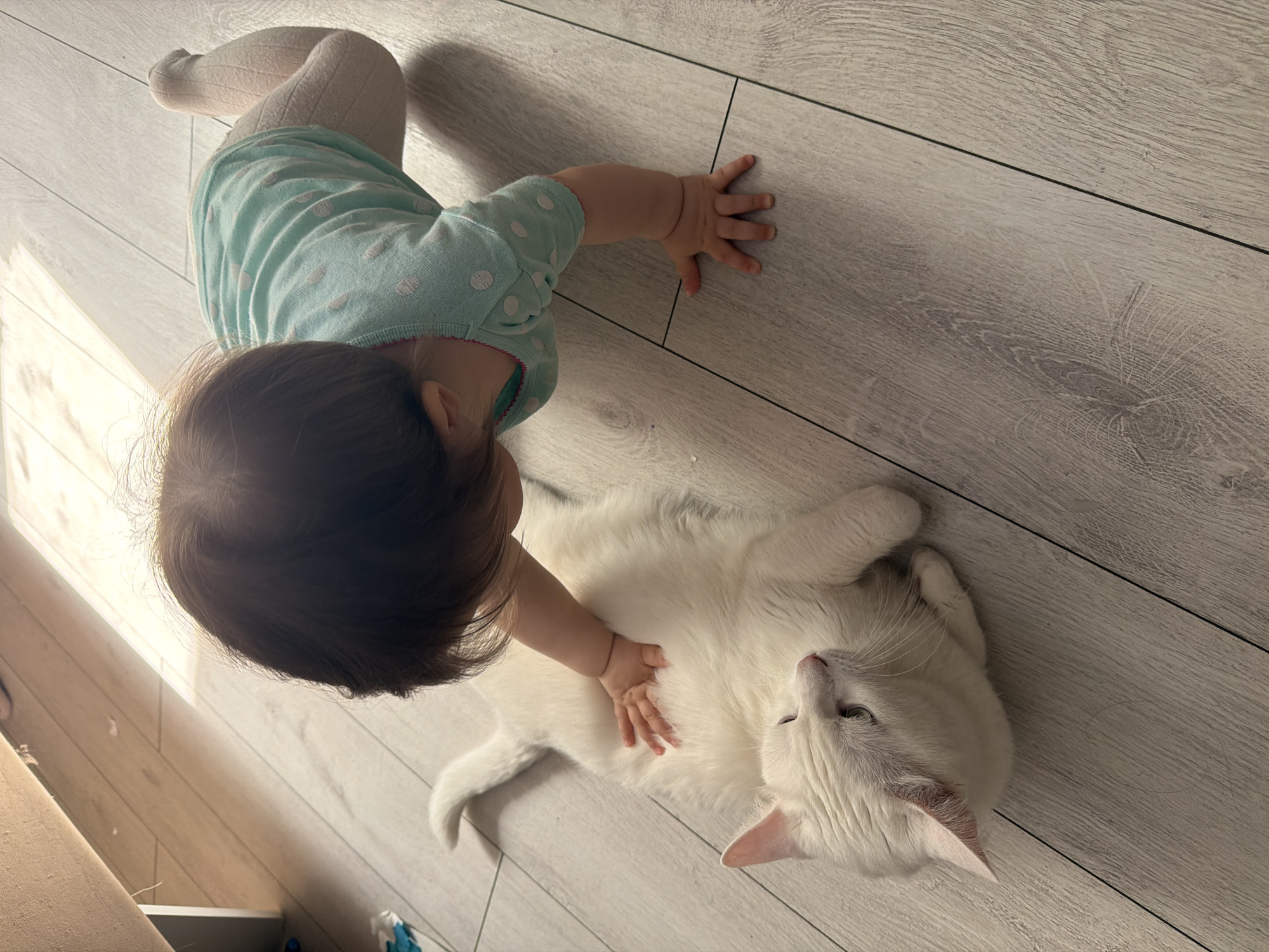 Toddler plays with cat, youth gather at sports field