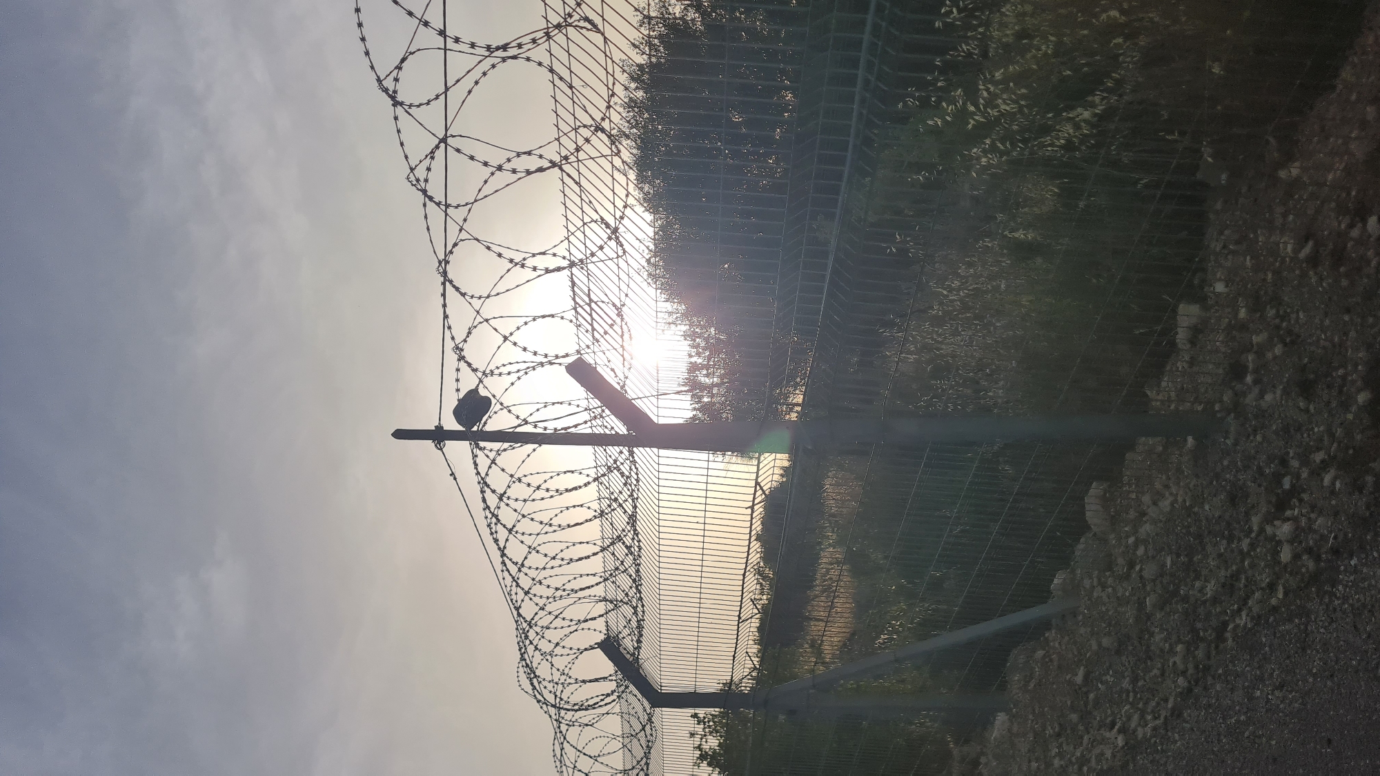 Security fence documented in Lachish Regional Council, Israel