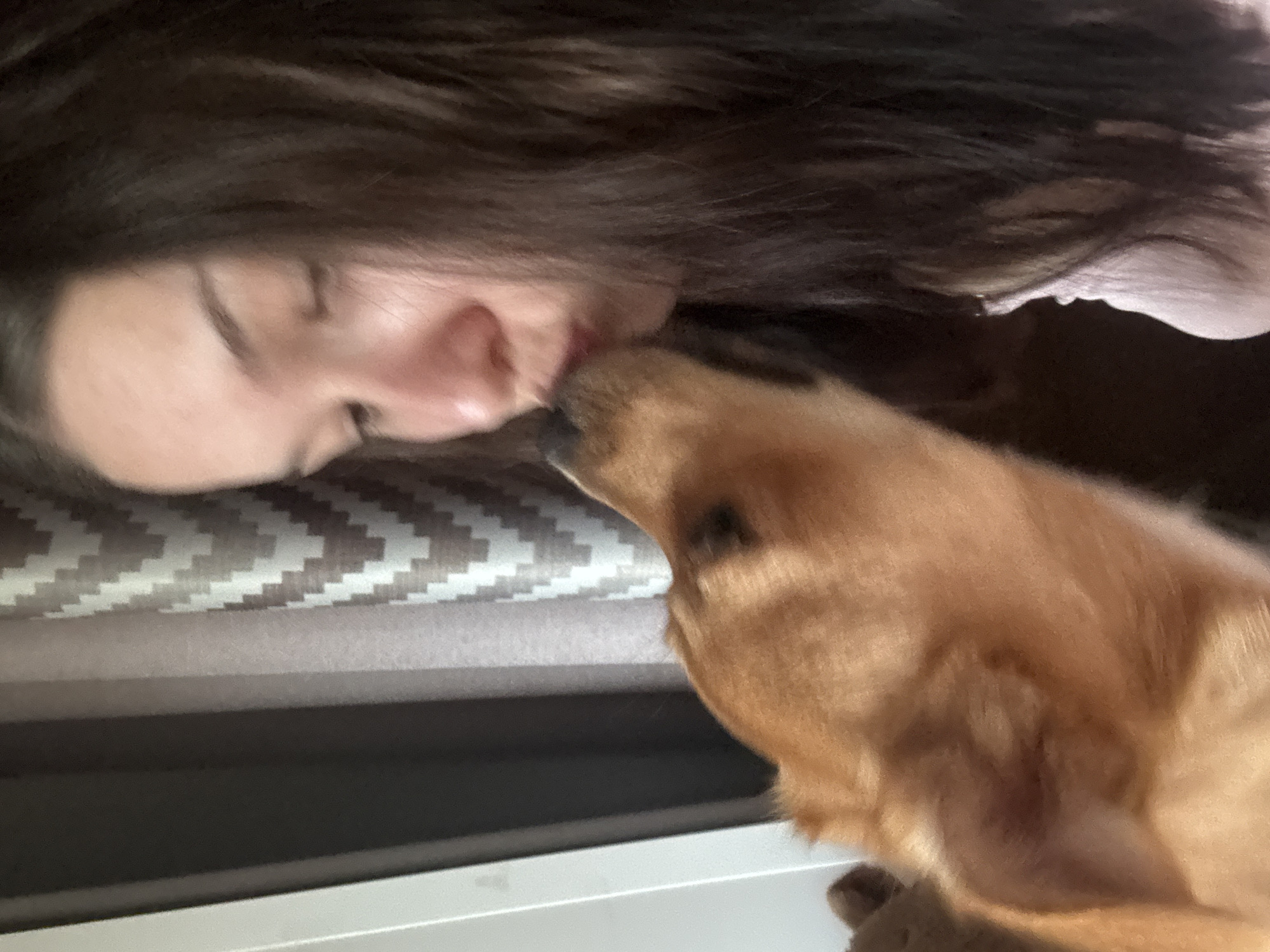 Cozy home hang with a dog and mood lighting in Inskoy