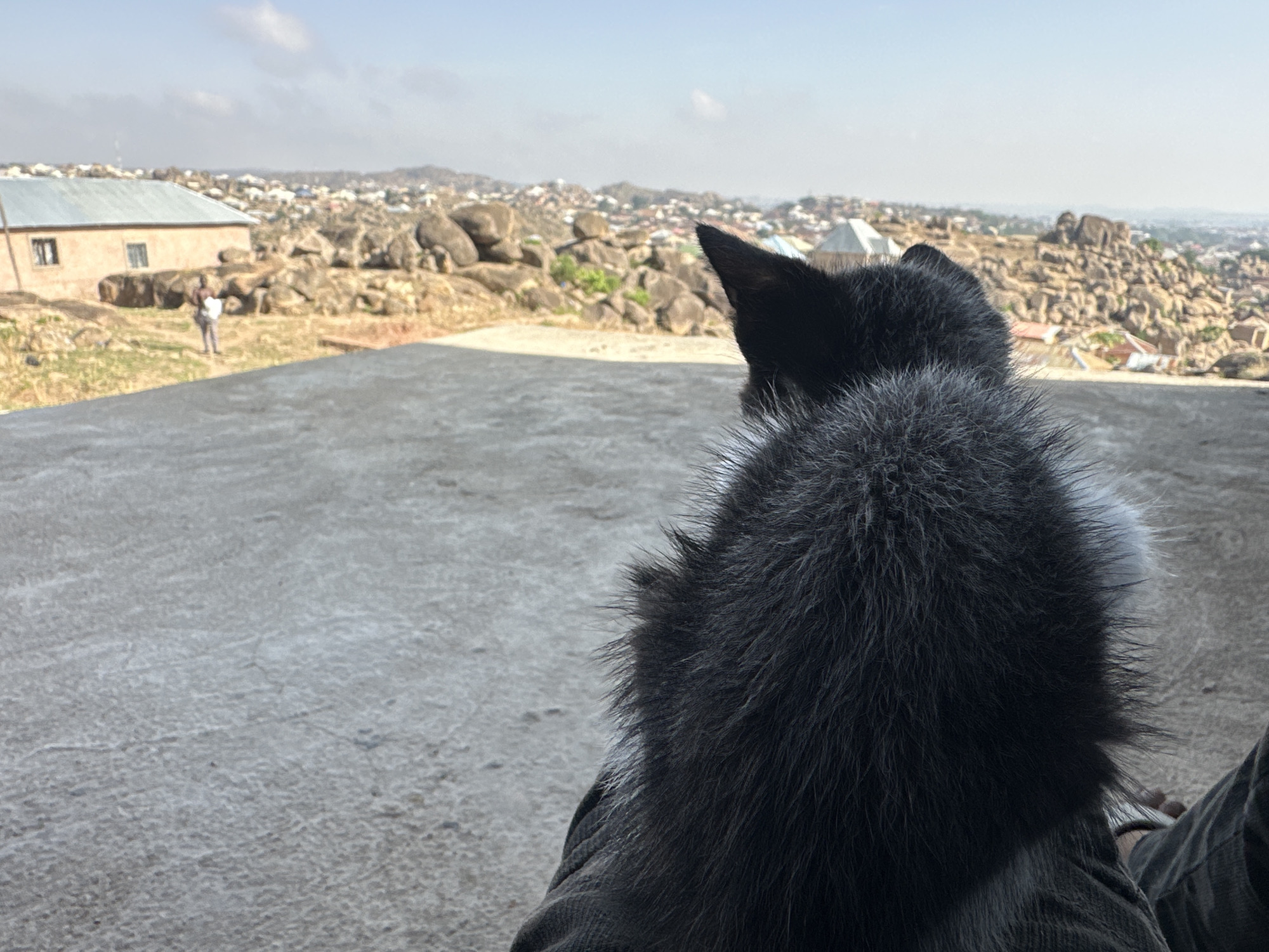 Morning pets spotted on Jos rooftops amid rocky cityscape