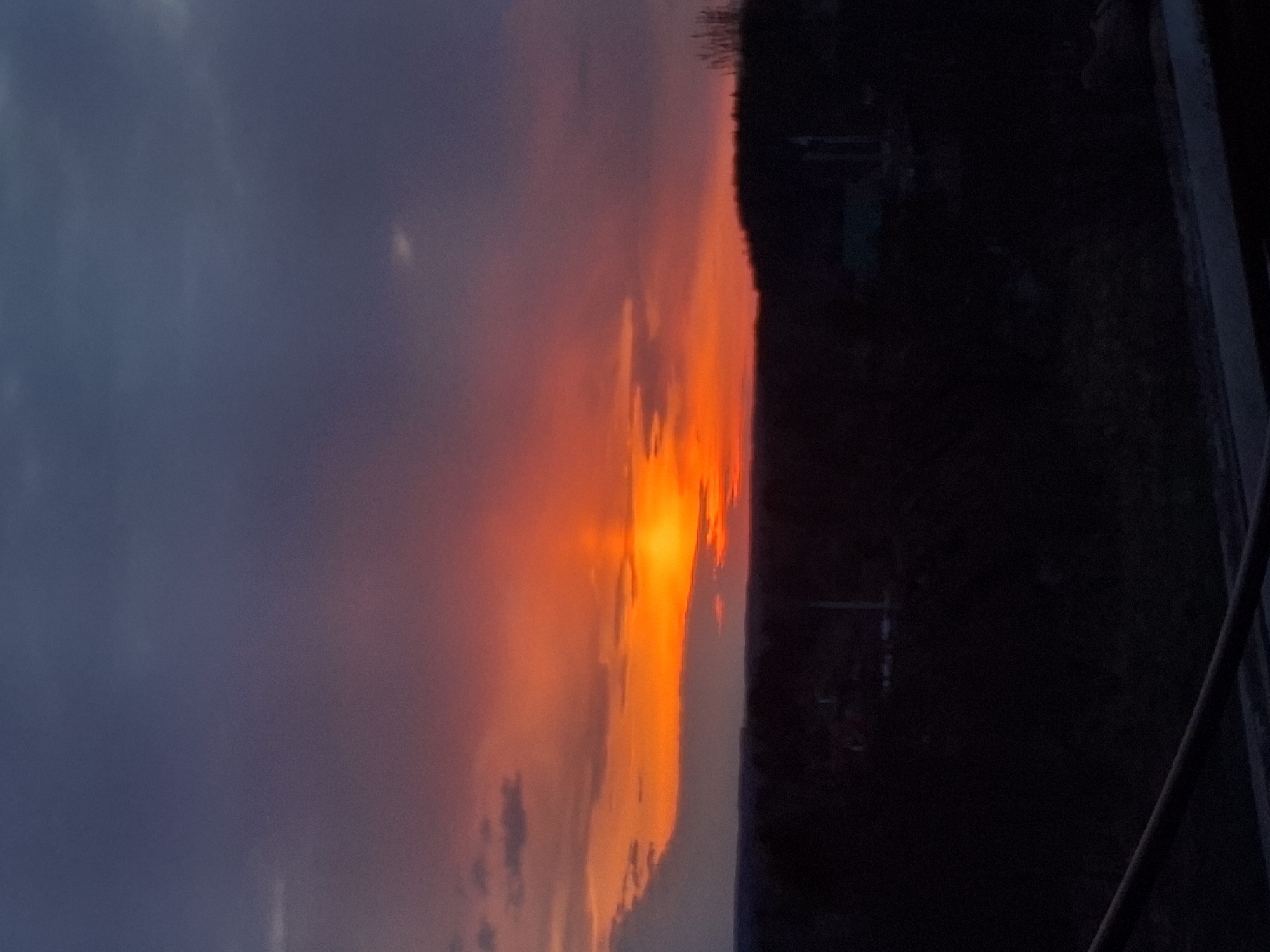 Sunset scenes and black dog observed at unknown location