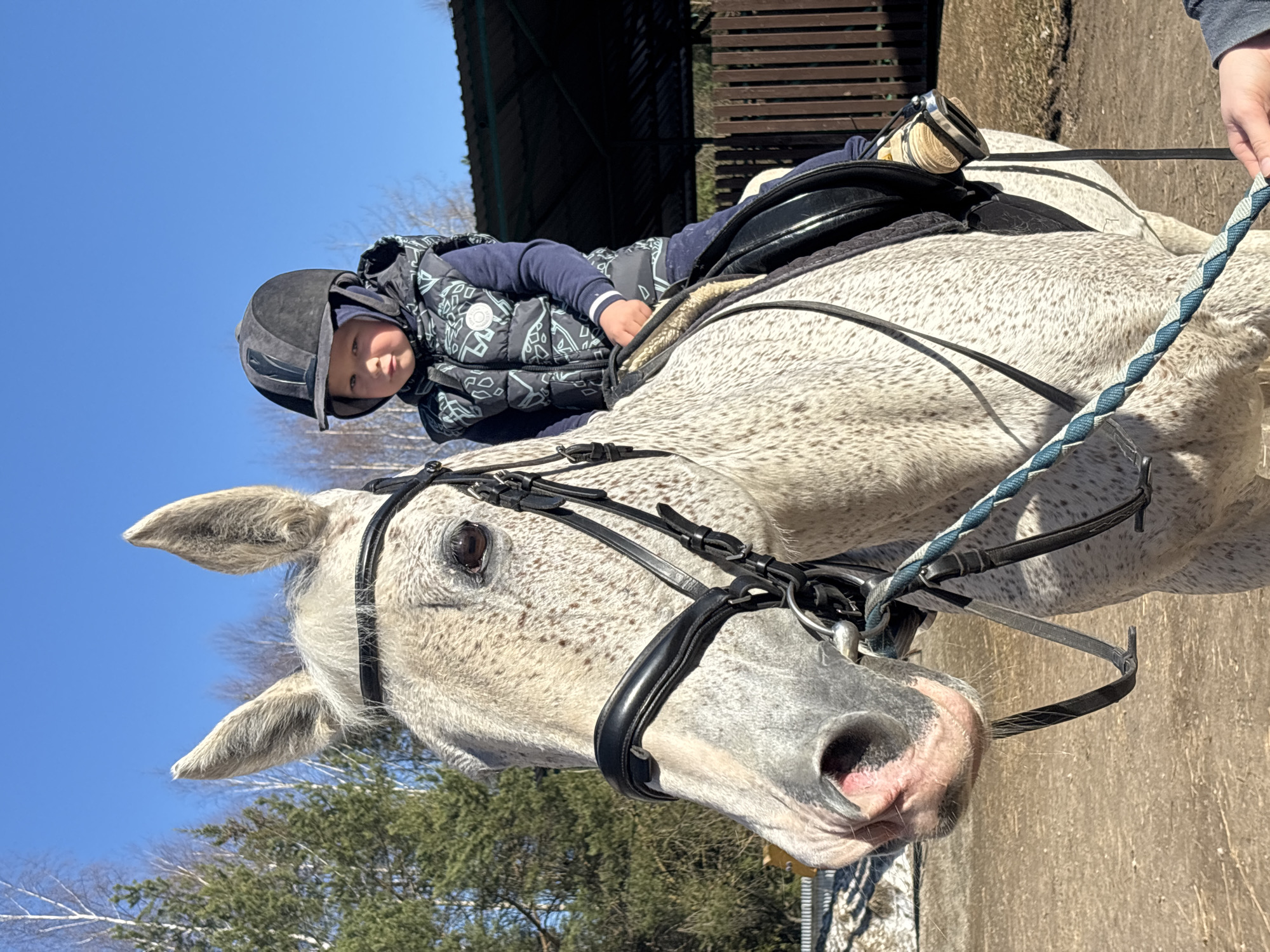 Child practices horseback riding in Russian outdoor arena
