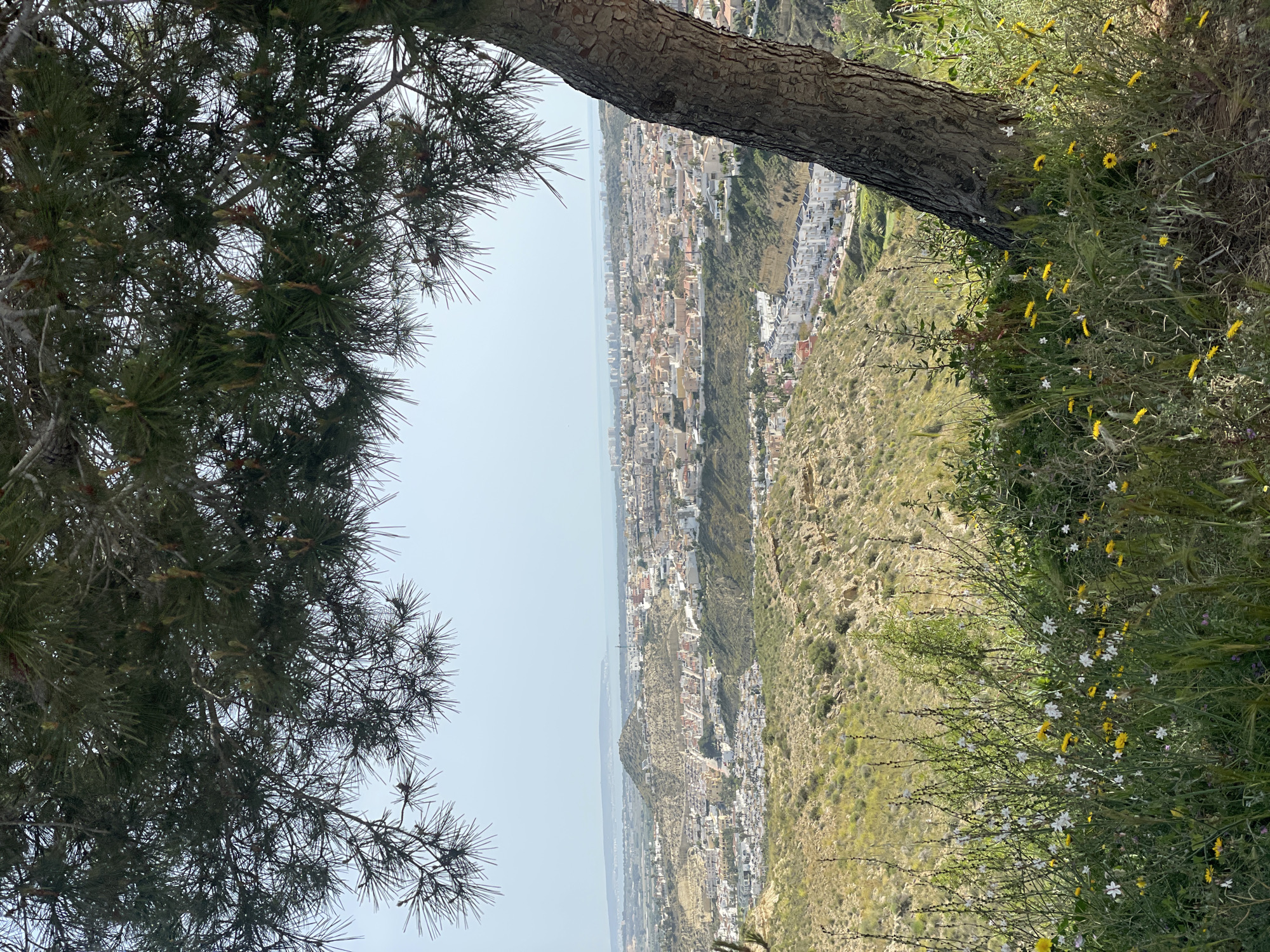 Spring morning views captured across Costa Blanca countryside