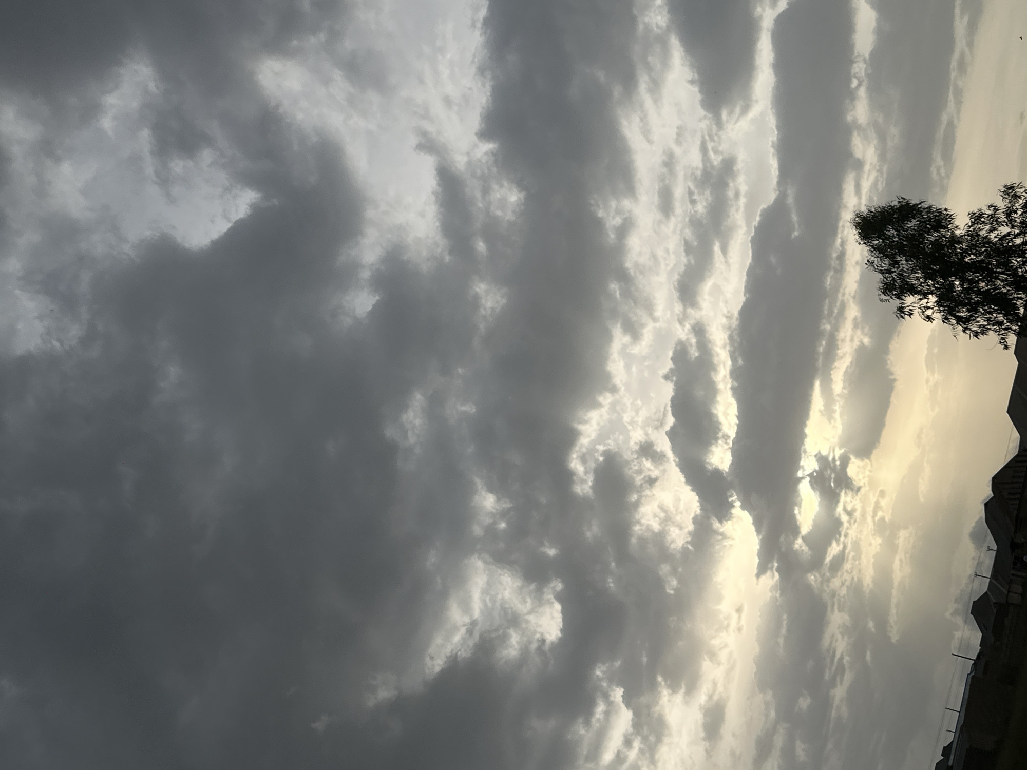 Cattle herding through Durumi's rural outskirts under gathering storm clouds