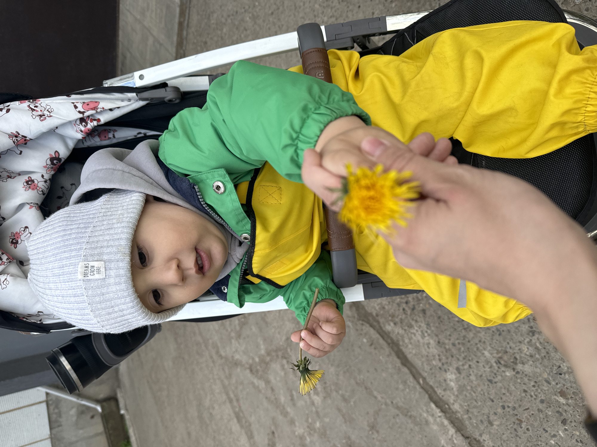 Colorful friends and baby with dandelion captured in Chaikovsky