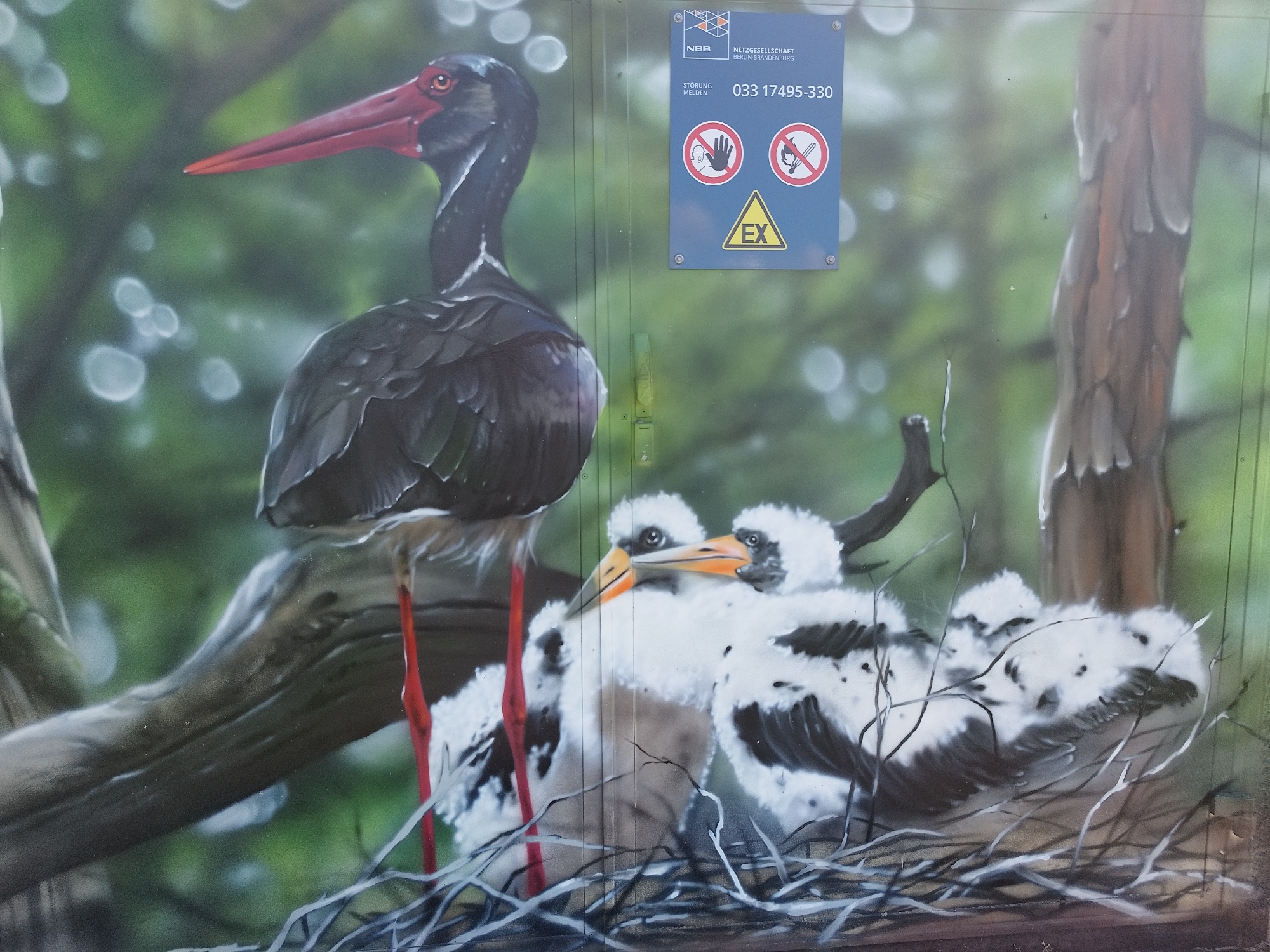 Street art murals and grazing cattle documented across rural area