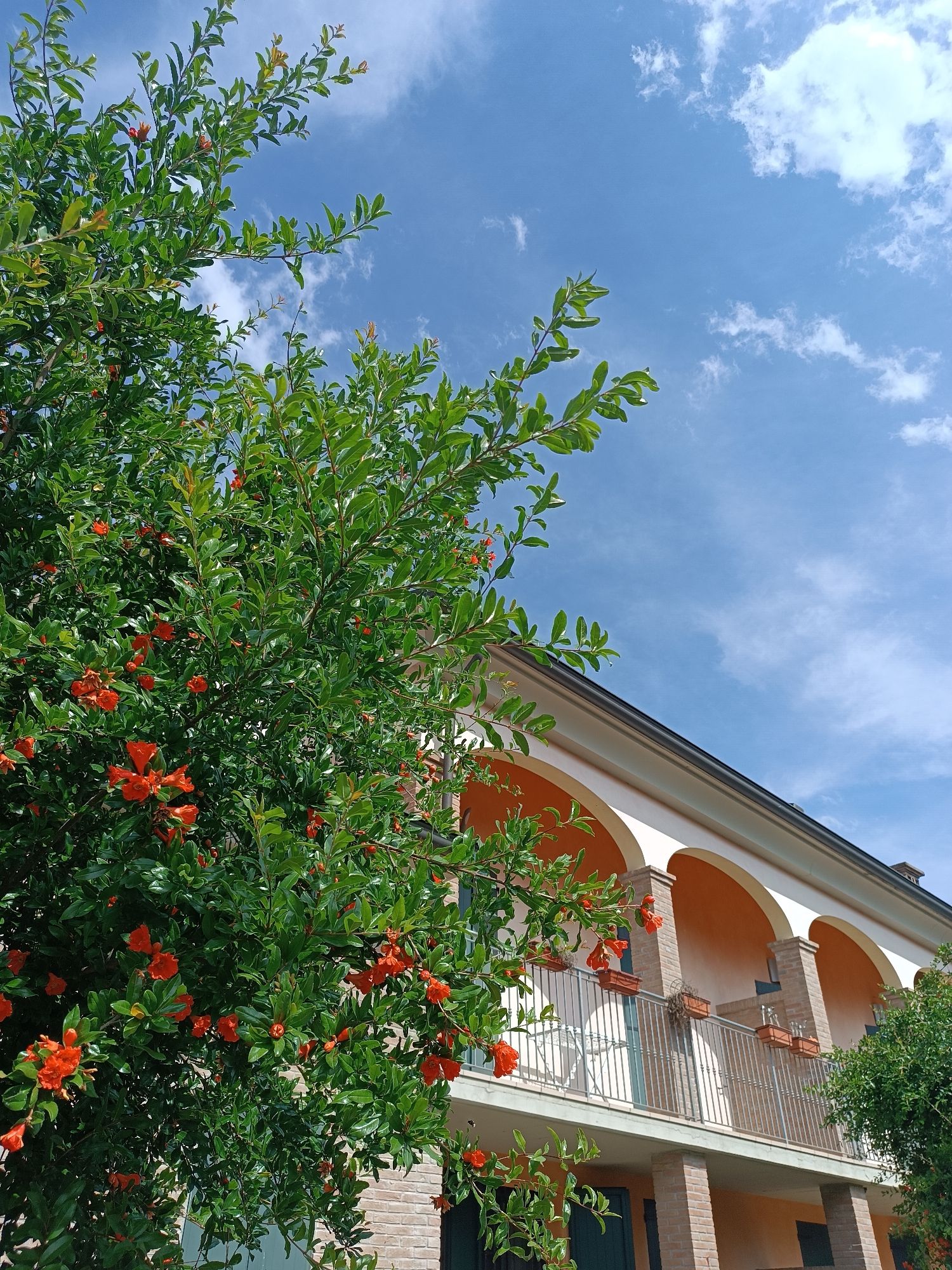 Afternoon stroll documented through sunny Boretto, Italy streets and gardens