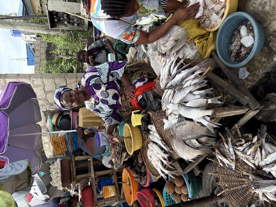 Nigerian Market Life Documented Across Lagos Region