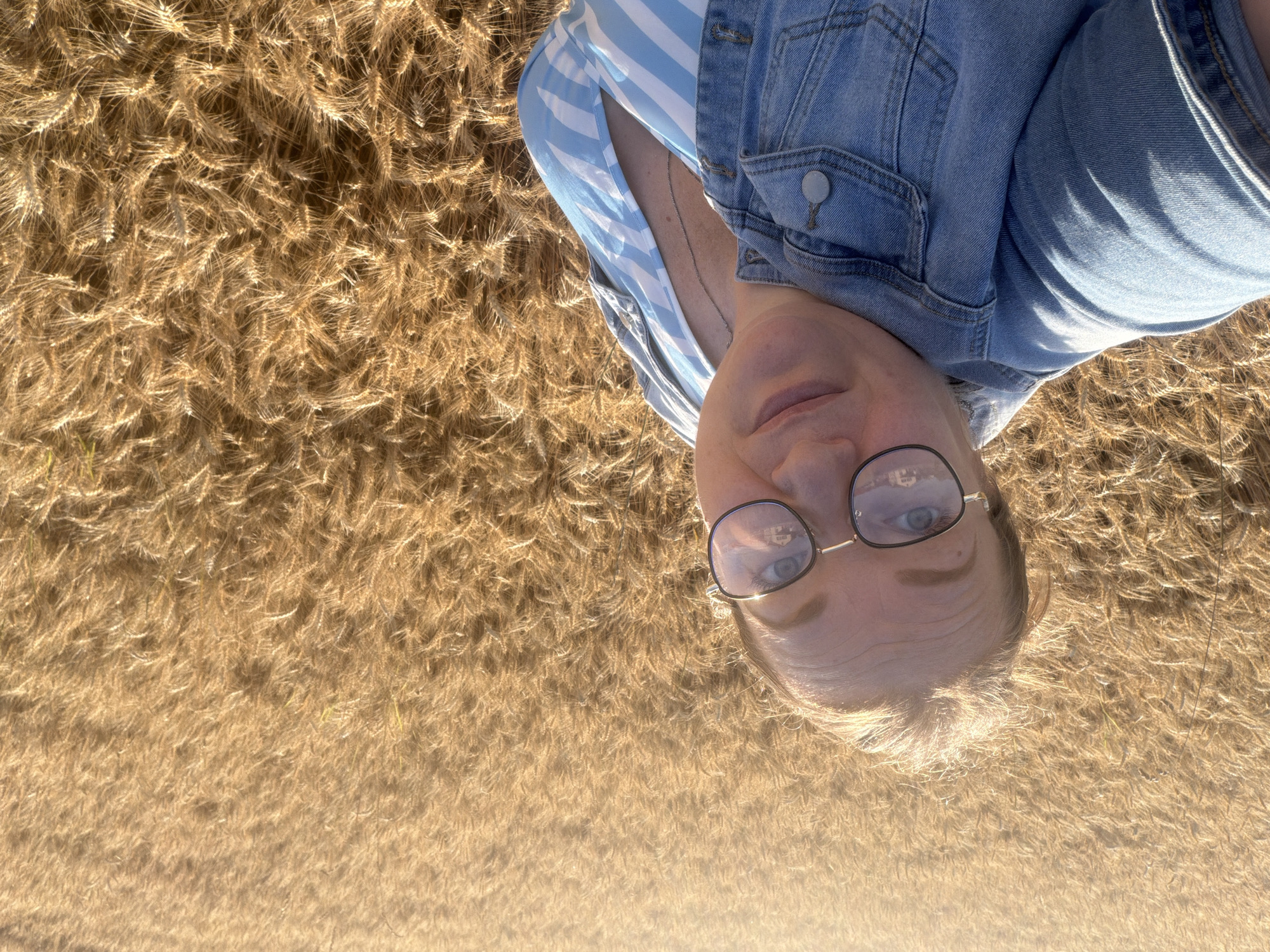 Golden wheat field selfies in rural Switzerland at harvest time
