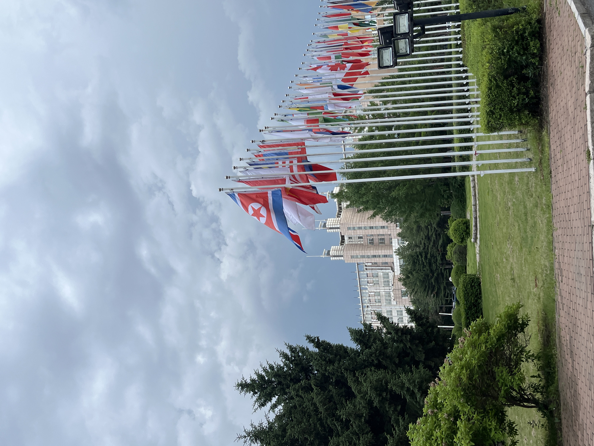 Morning scenes captured around flag display, blooming roses in Changchun