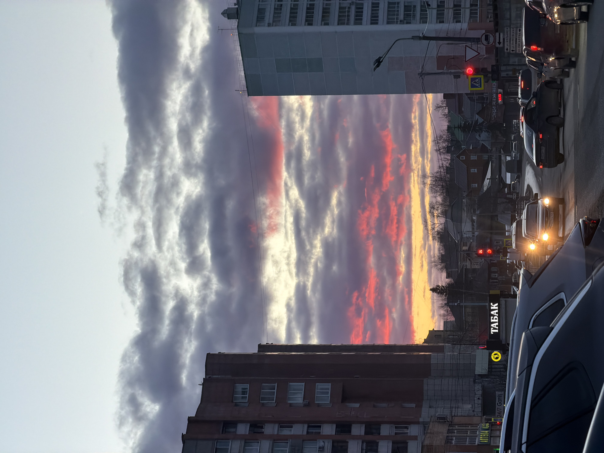 Cat owner documents afternoon with pet during Perm sunset