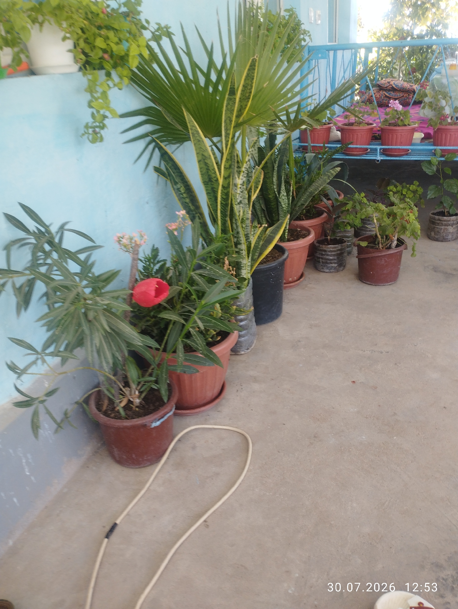 A quiet morning at a home and garden in Quyosh, Uzbekistan