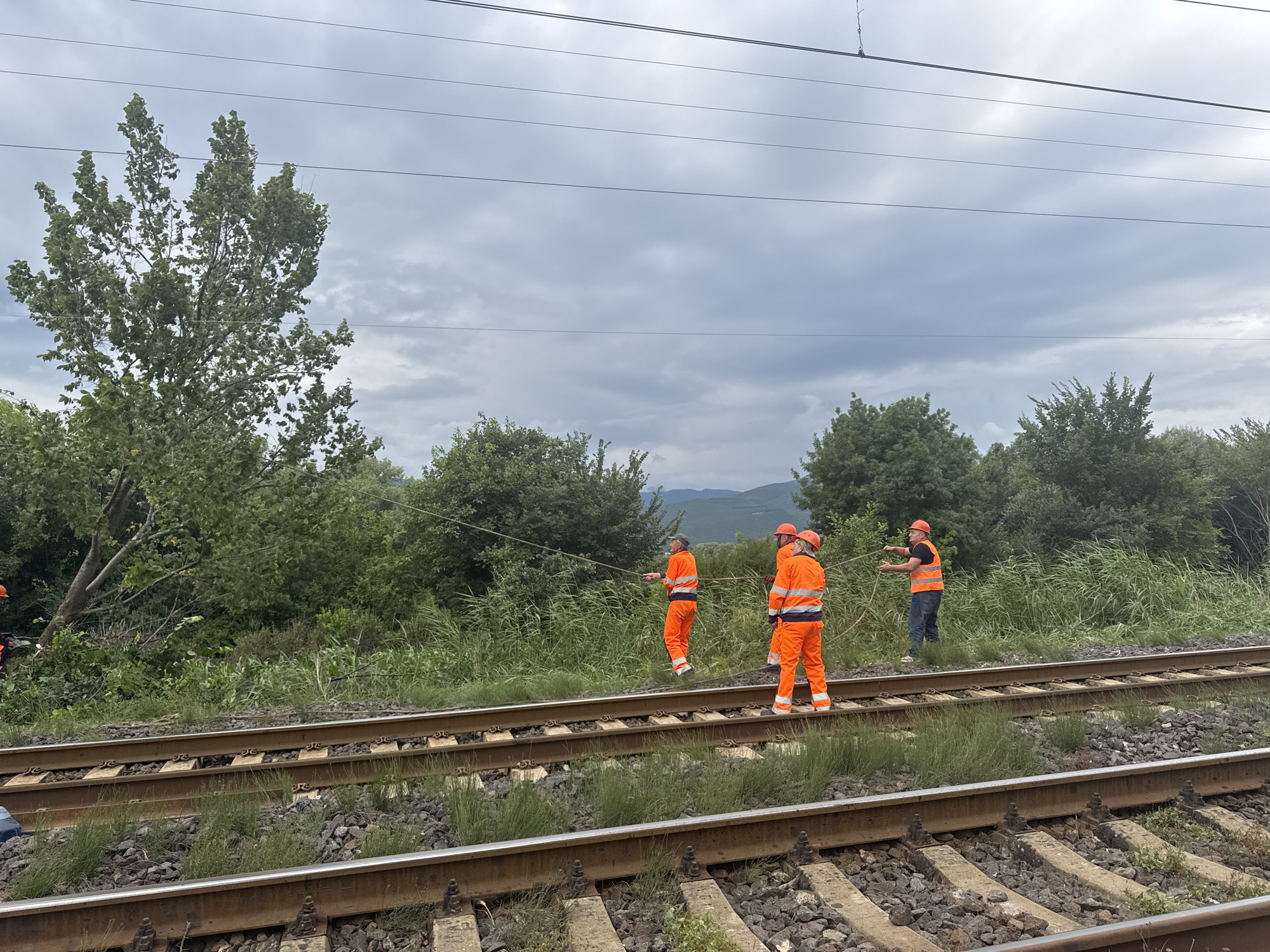 Railway vegetation crew clears fallen trees in rural Georgia