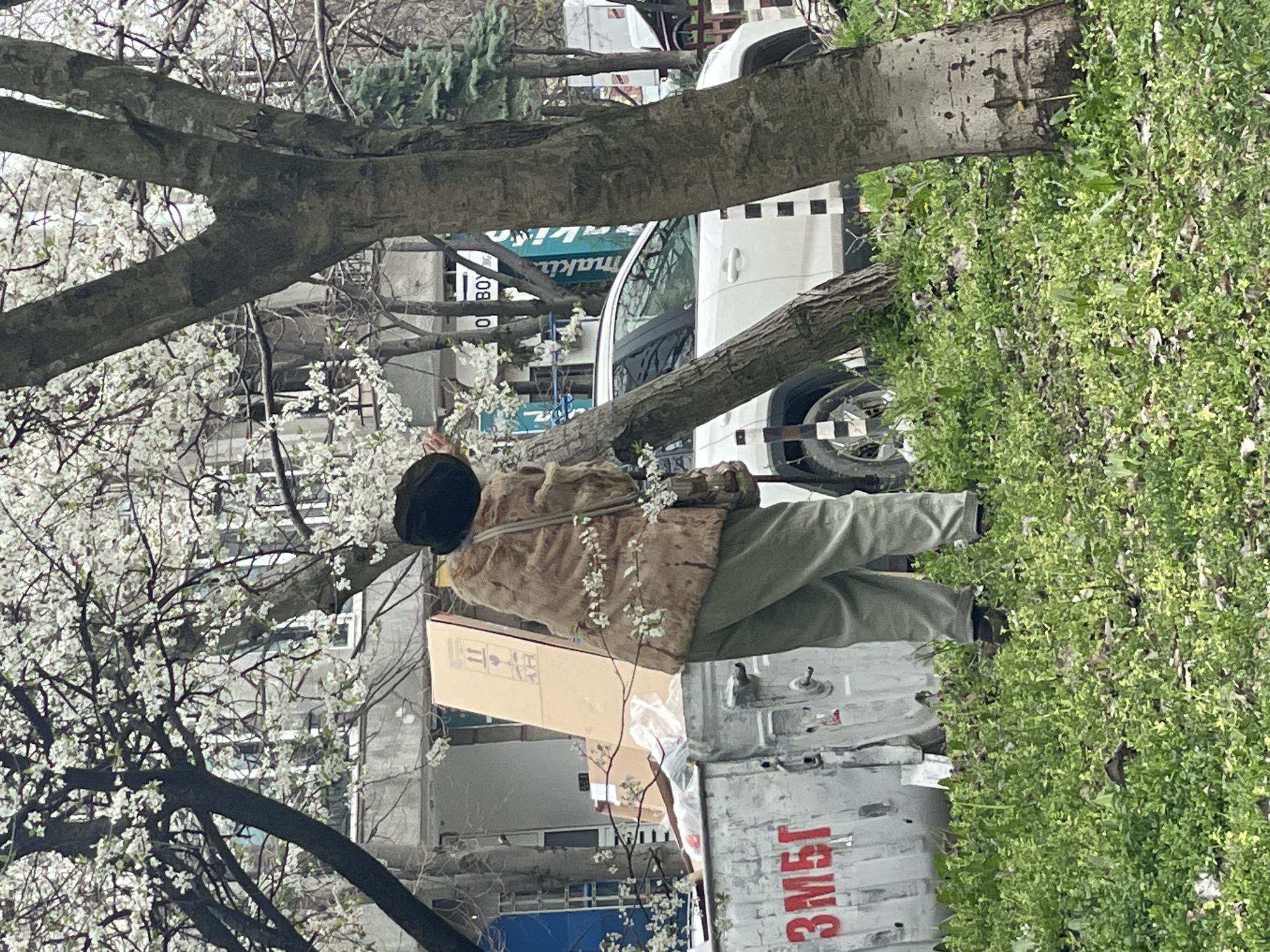 Person stands on truck back in Sofia street scene