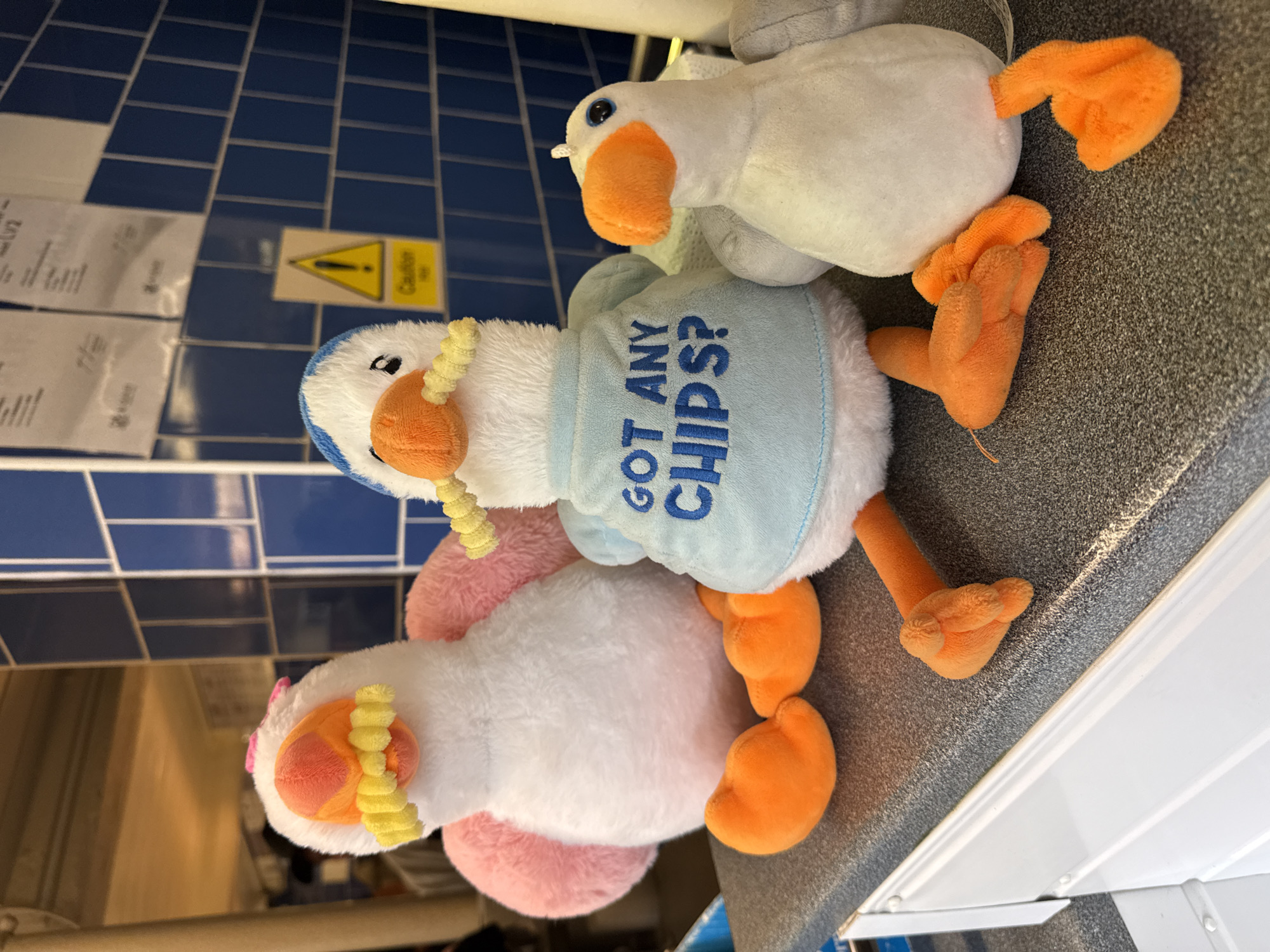 Stuffed seagull trinkets on display in Great Yarmouth