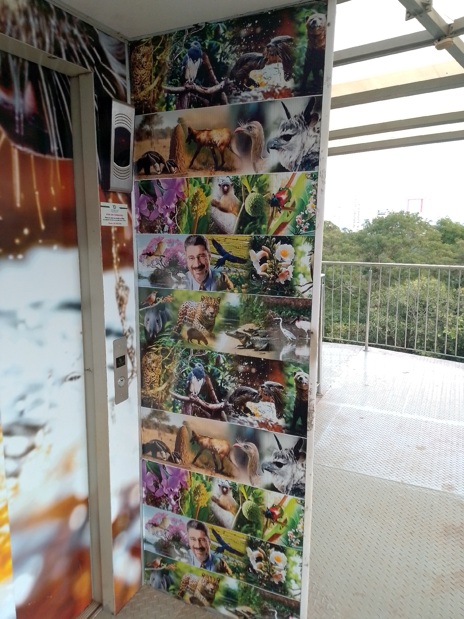 Ordinary moments captured across Cuiabá during afternoon hours