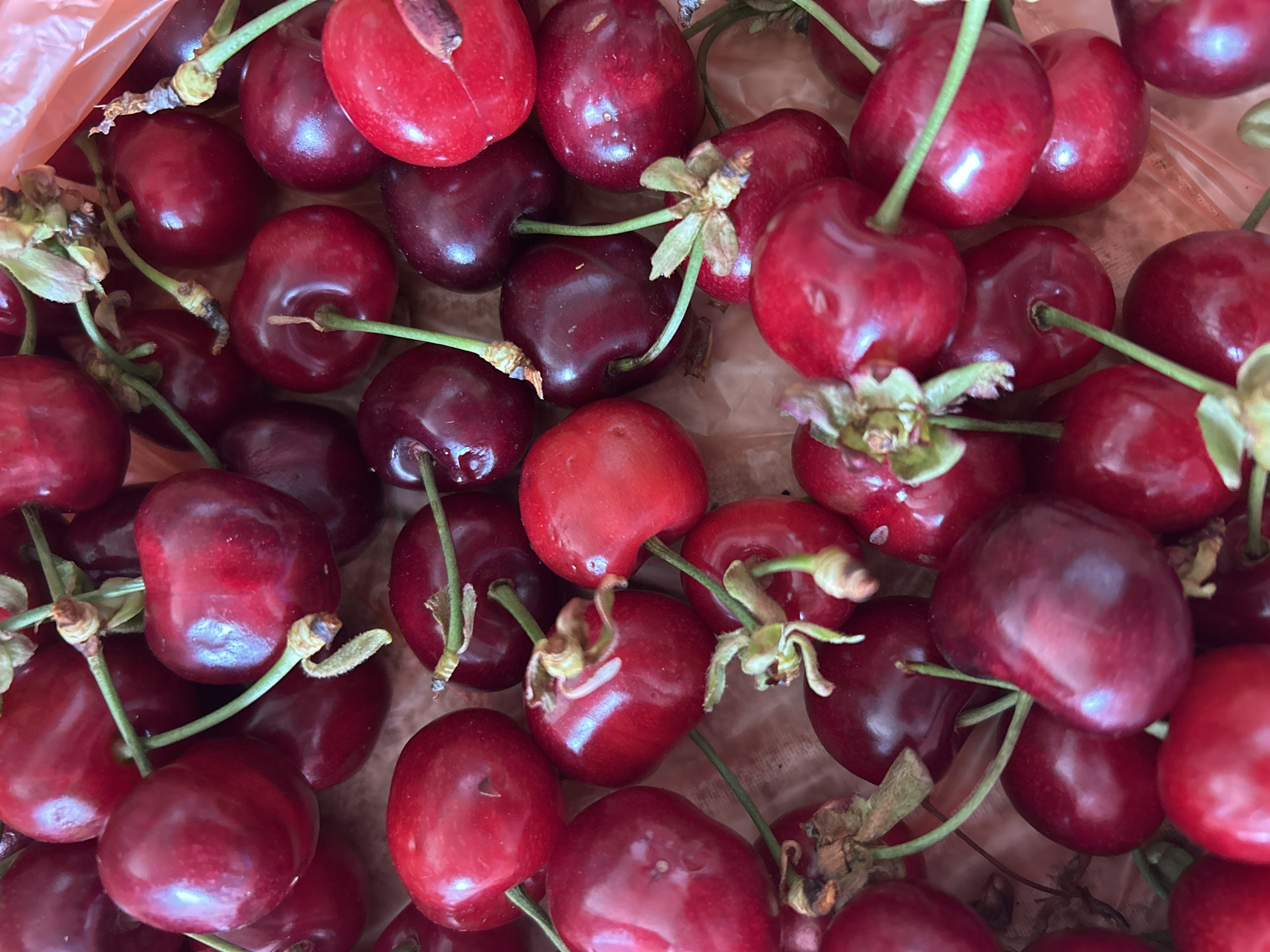 Spring day captured in Samokov: cherries, flowers, overcast skies