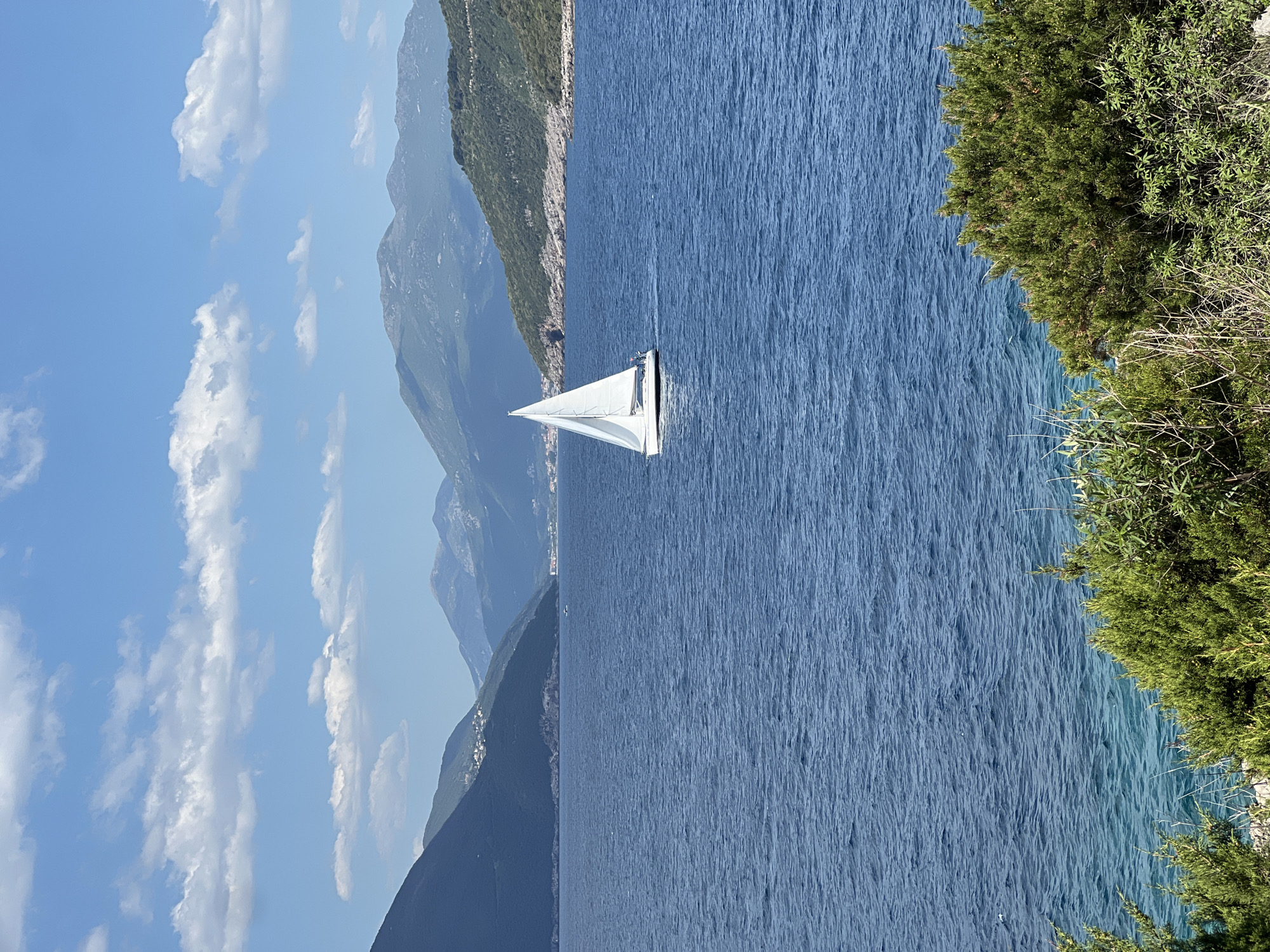 Sailboat spotted off Montenegro's Luštica peninsula draws tourist attention