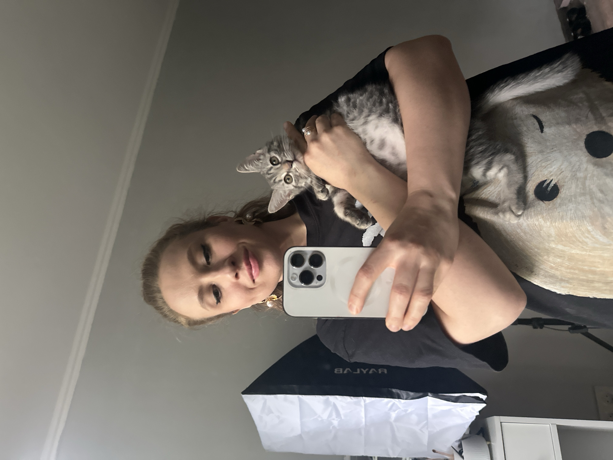 A lazy June afternoon in Moscow, cats and all