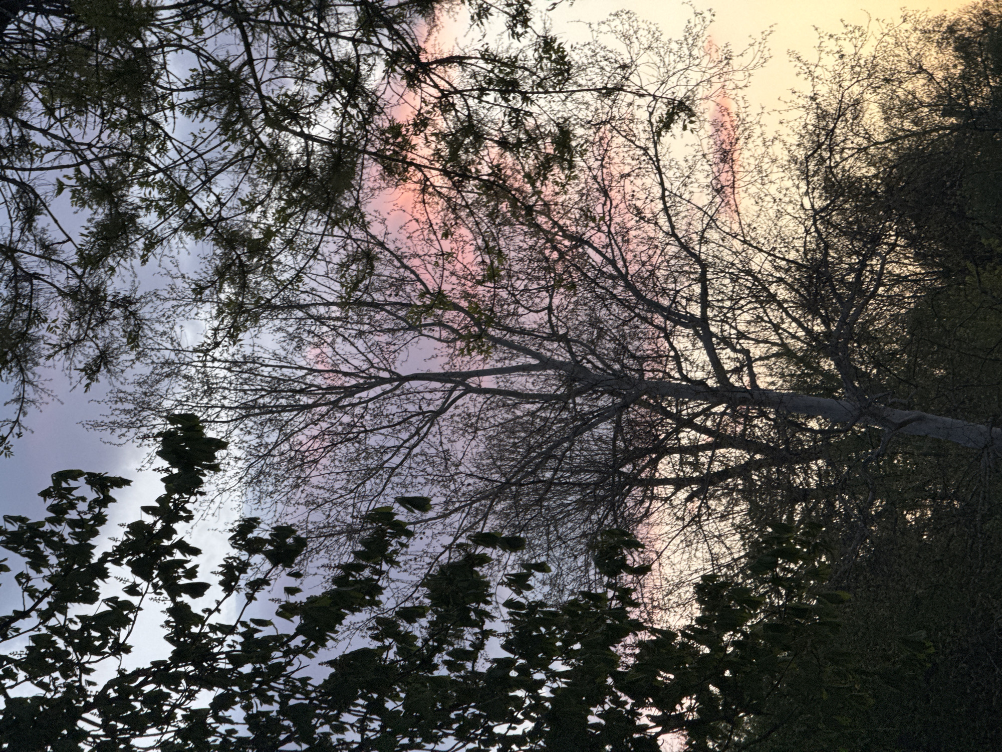 Witness documents outdoor scenes in Sofia during evening hours