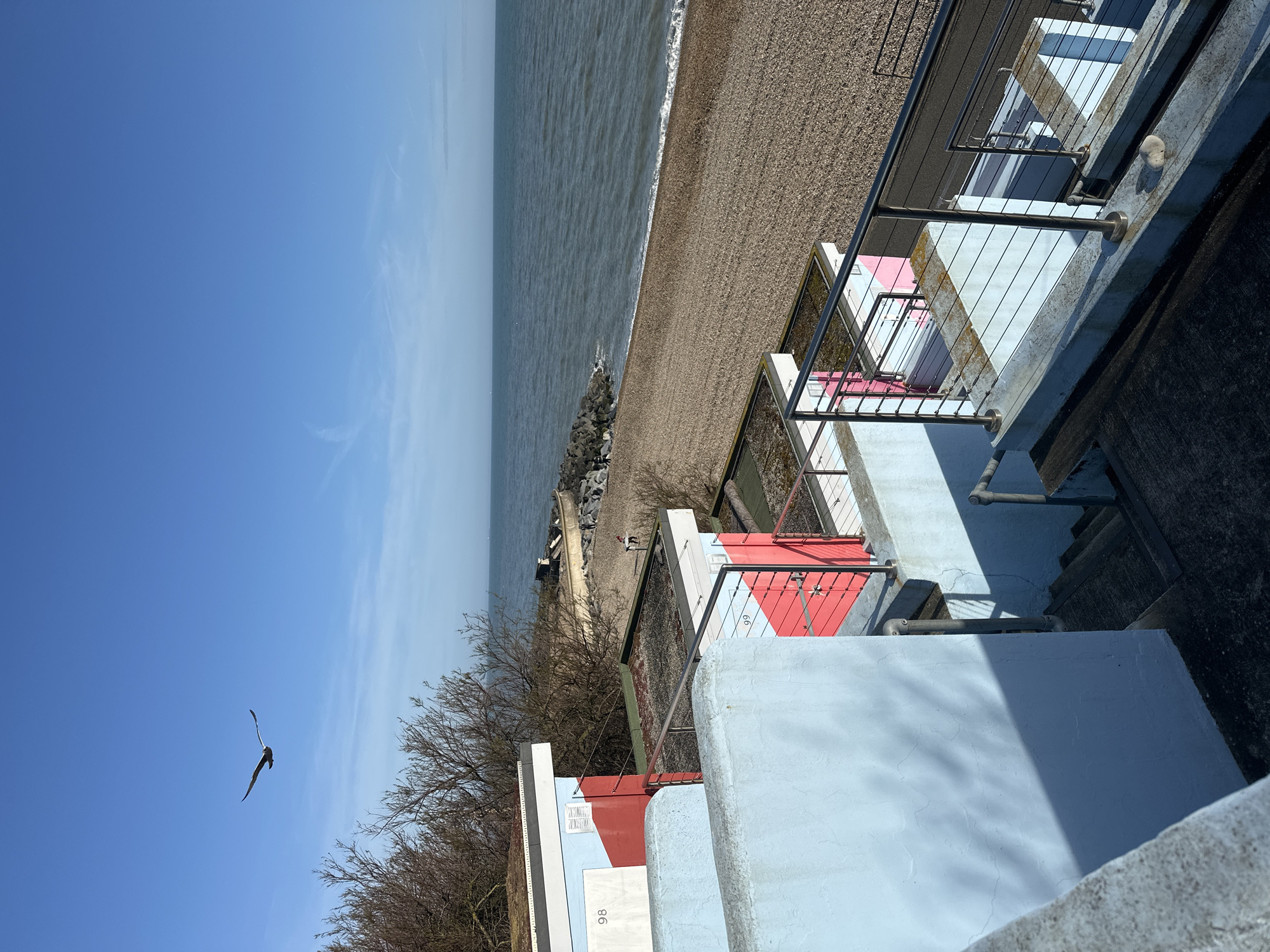 Quiet afternoon moments documented in Folkestone home