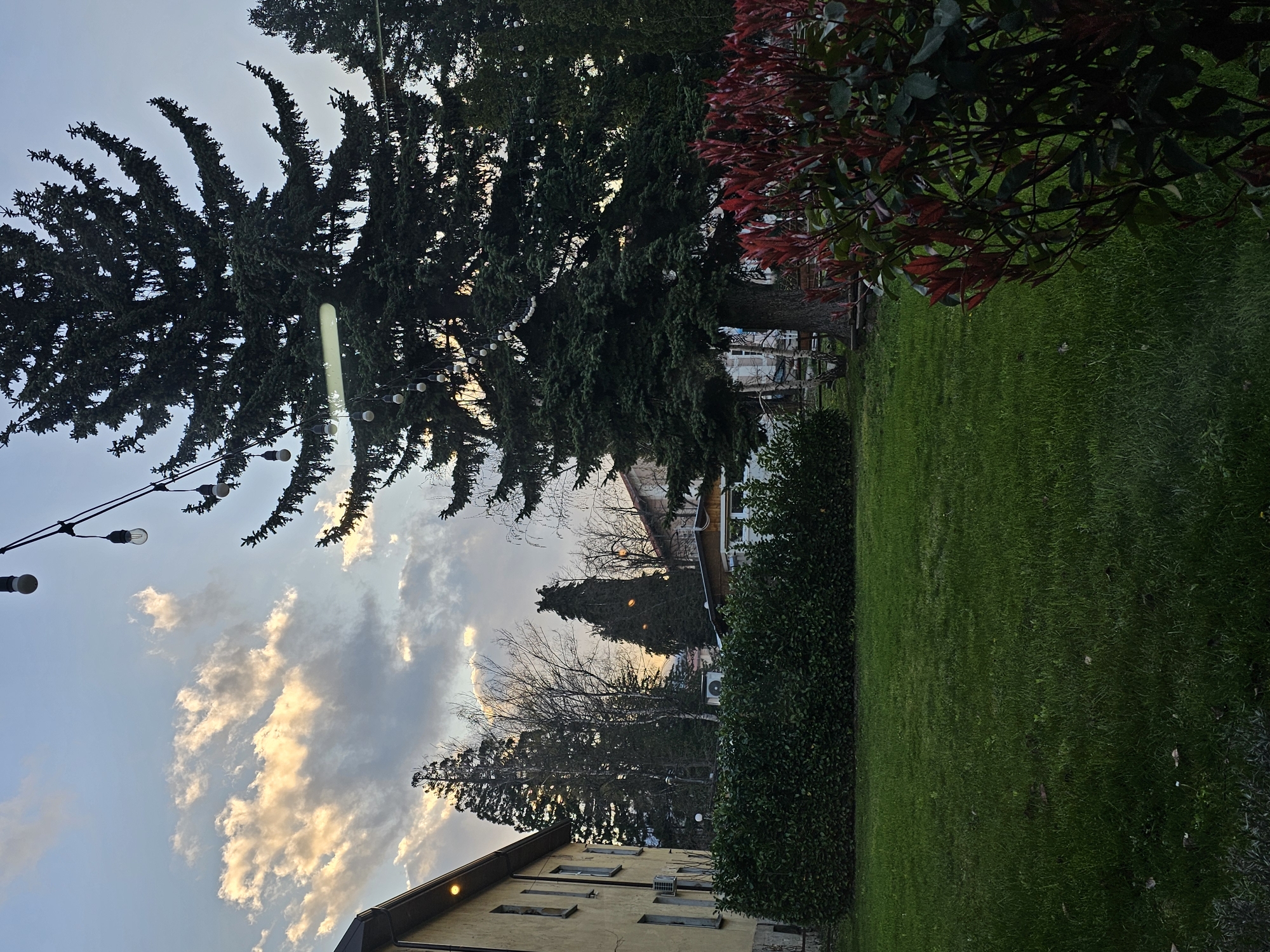 Residential garden scene documented in Berkovitsa, Bulgaria