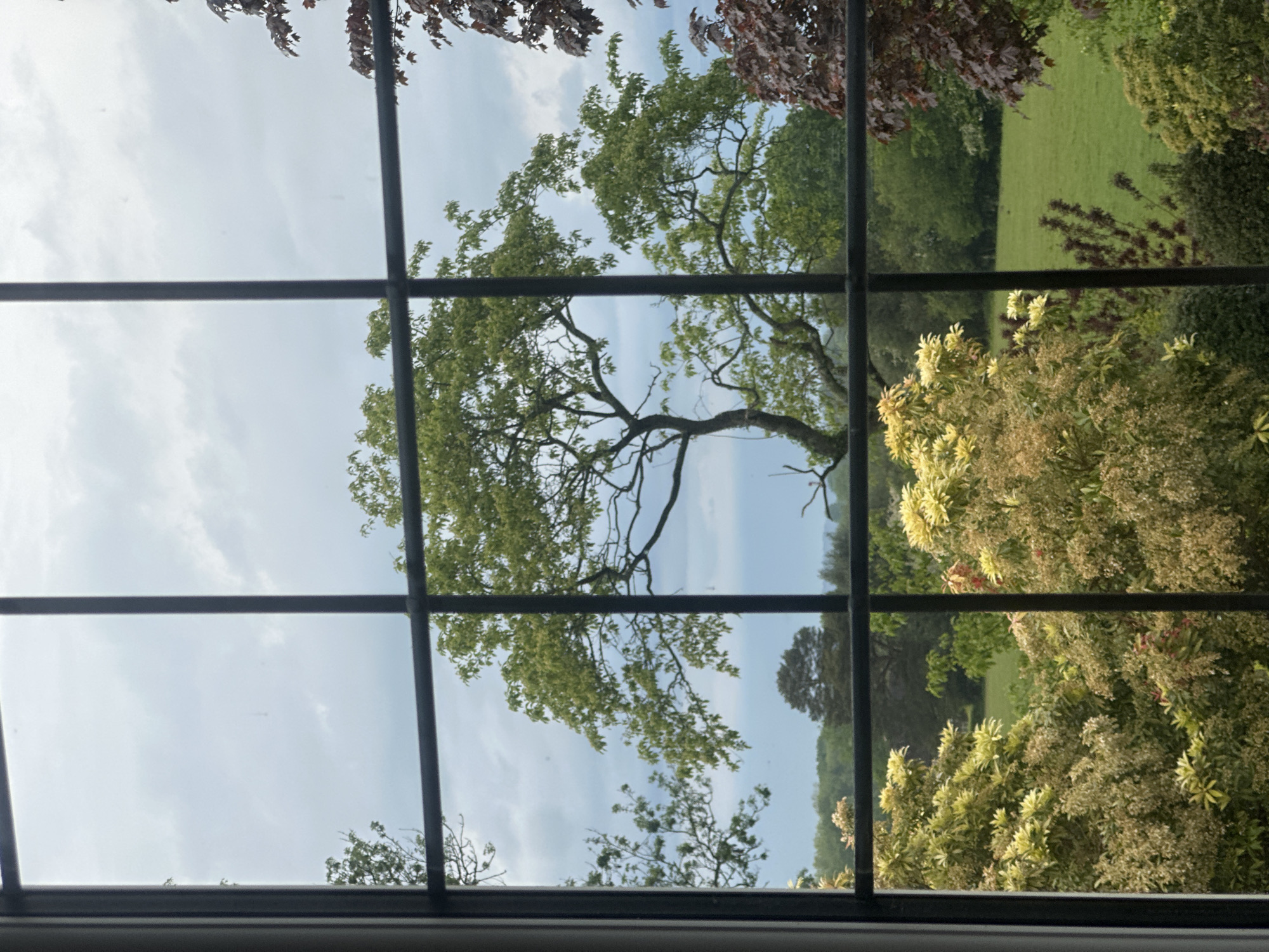 Quiet afternoon moments documented in Tunbridge Wells home
