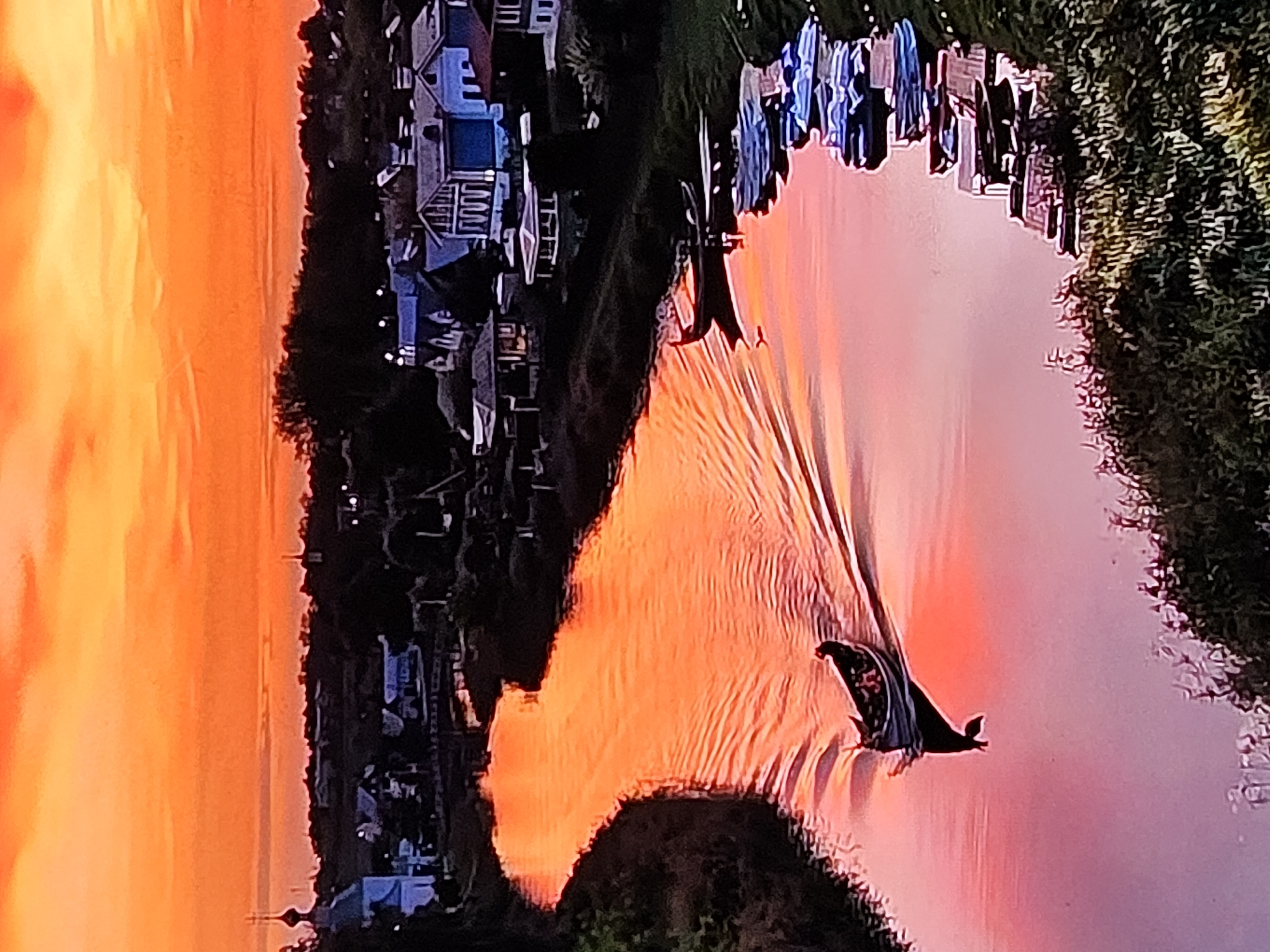 Vladimir's historic skyline at golden hour, churches and river views