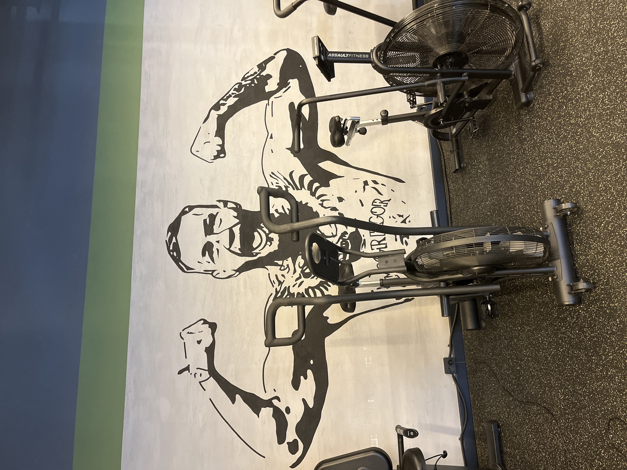 Gym workout session documented in Sochi fitness facility