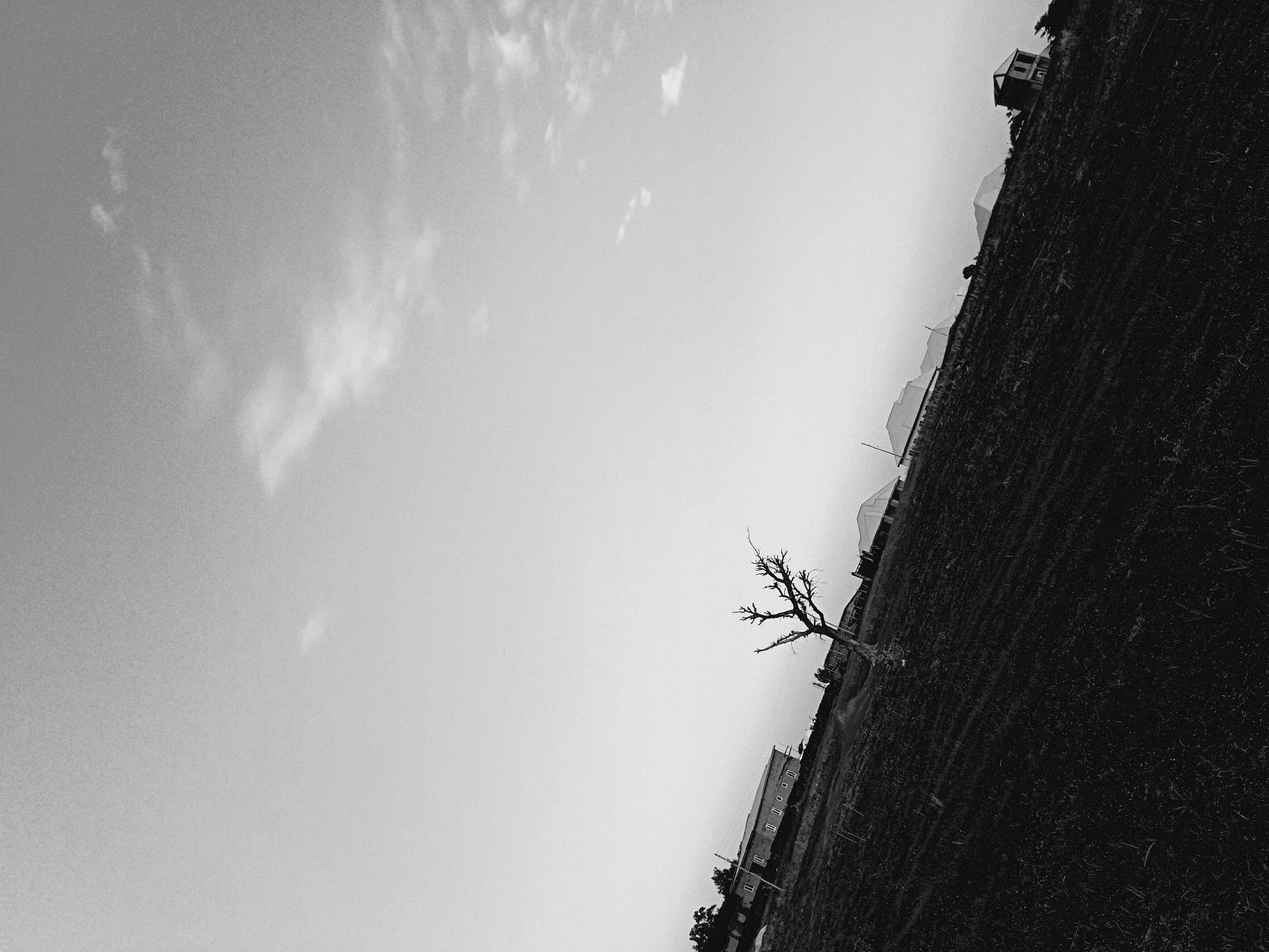 Rural Nigerian landscape documented in black-and-white photographs