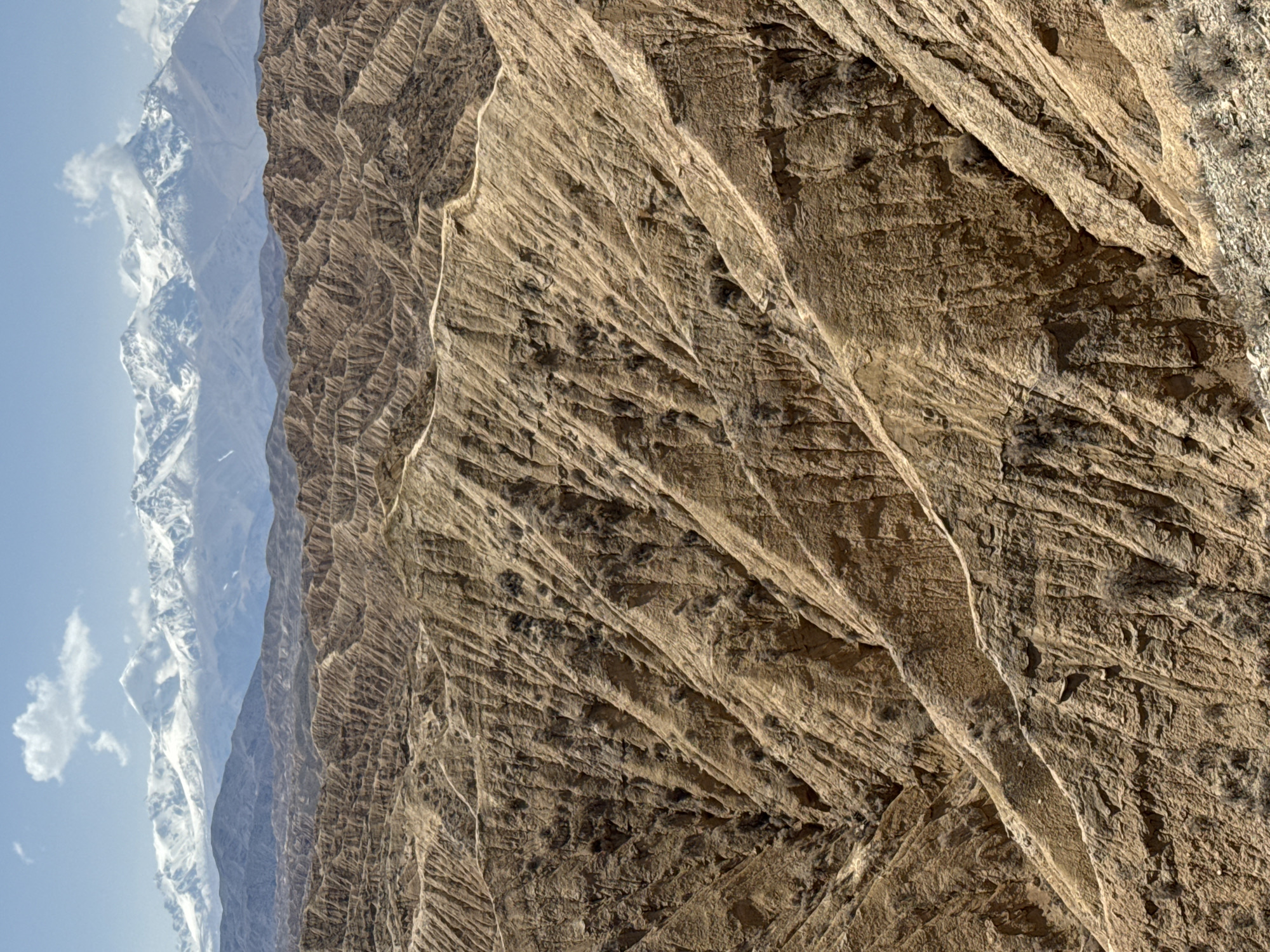 Rocky terrain with snow-capped peaks documented in Ak Say