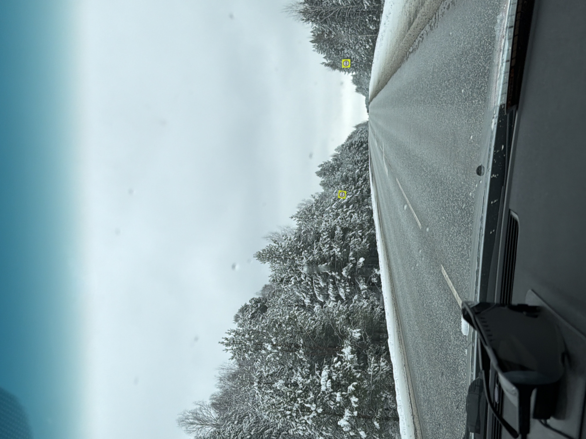 Motorist documents snowy forest drive in Chaikovsky, Russia