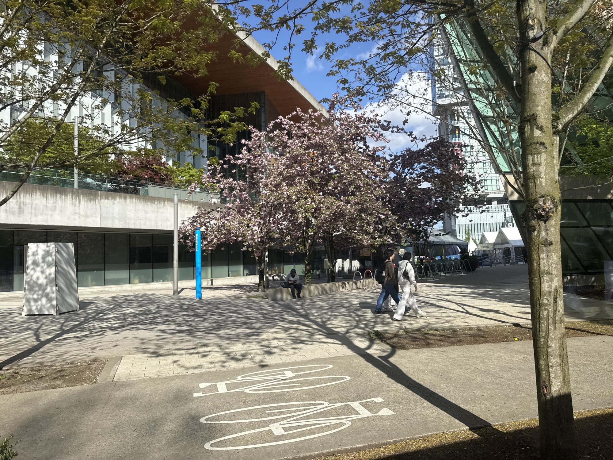 Surrey construction and street activity documented in evening photos