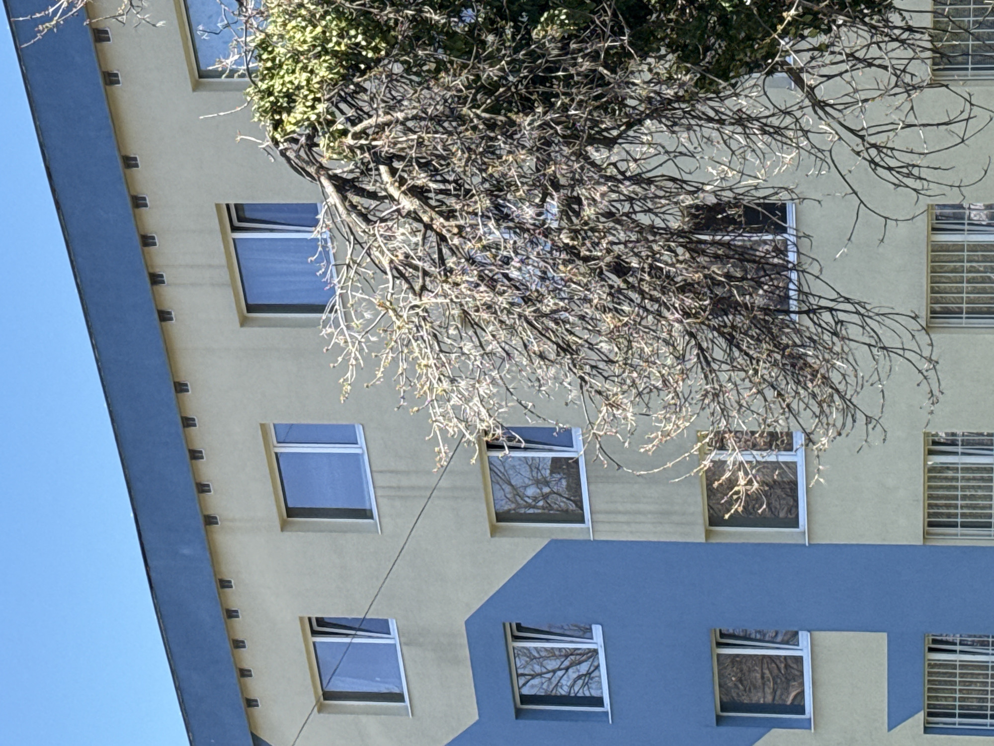 Sofia resident captures morning scenes: apartment building, flower shop, TV