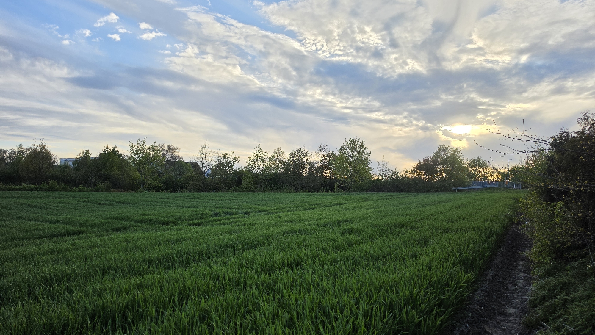 Evening bonfire gathering documented in rural agricultural setting